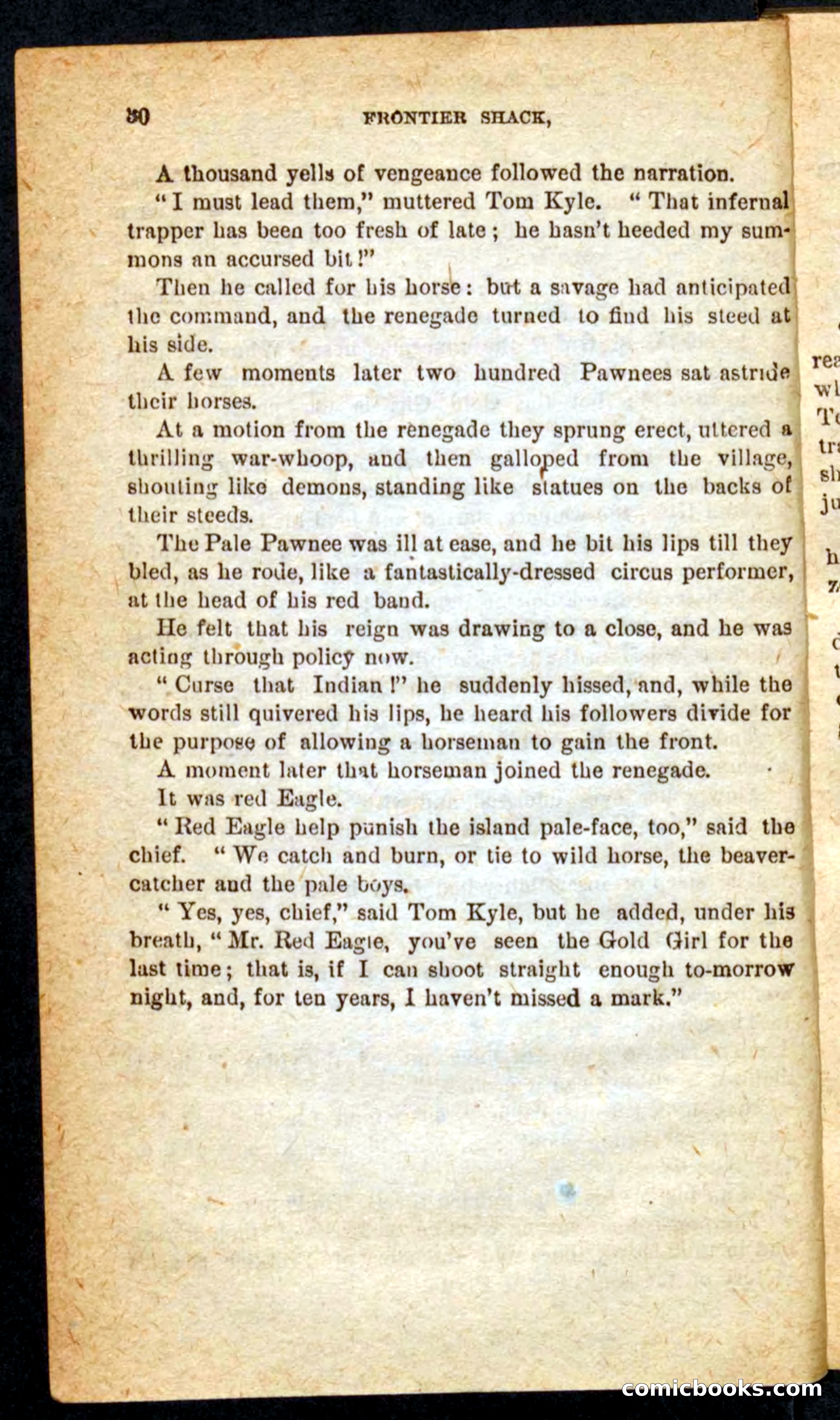 Beadle's Pocket Novels No. 64: The Island Trapper — page 26 of 100