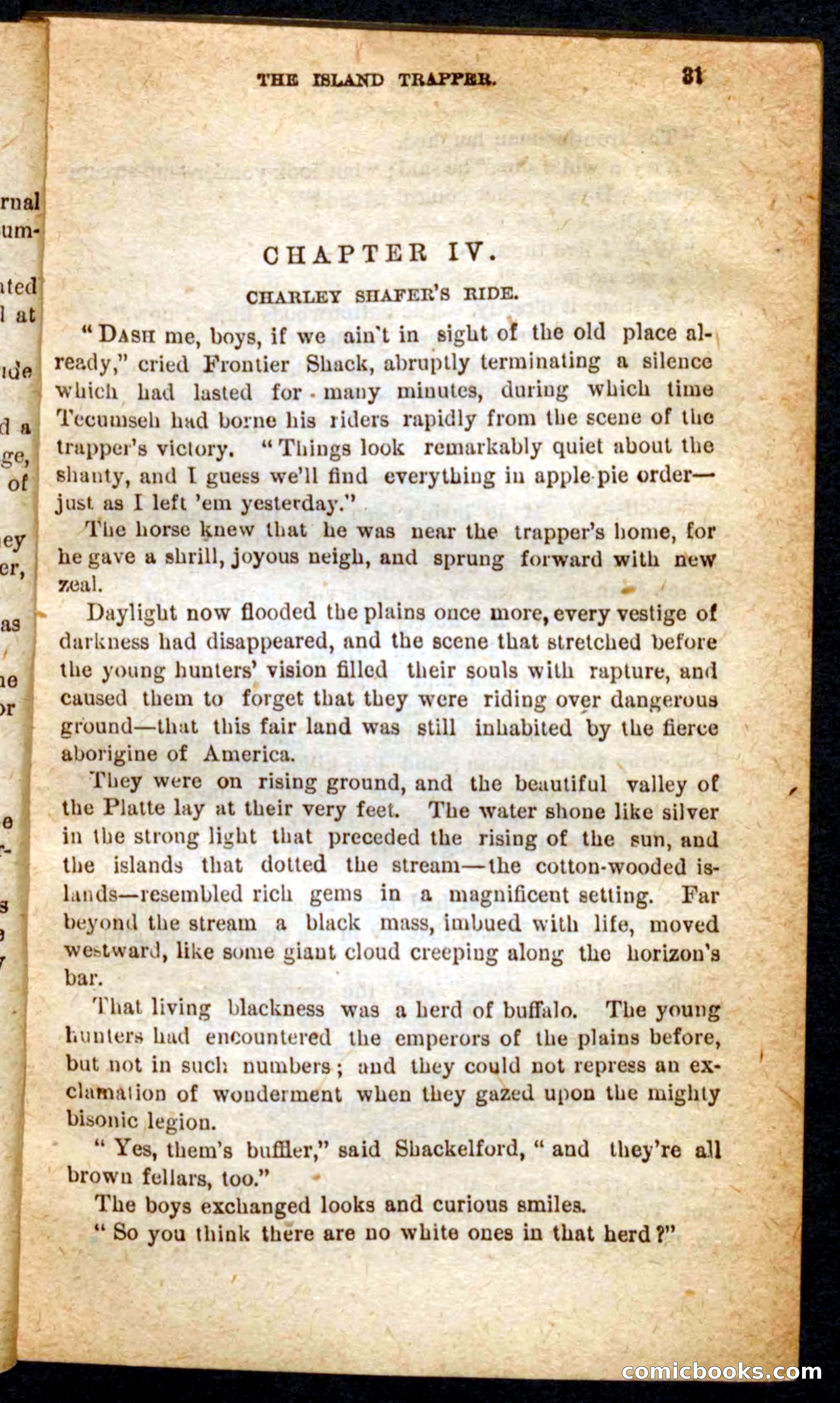 Beadle's Pocket Novels No. 64: The Island Trapper — page 27 of 100