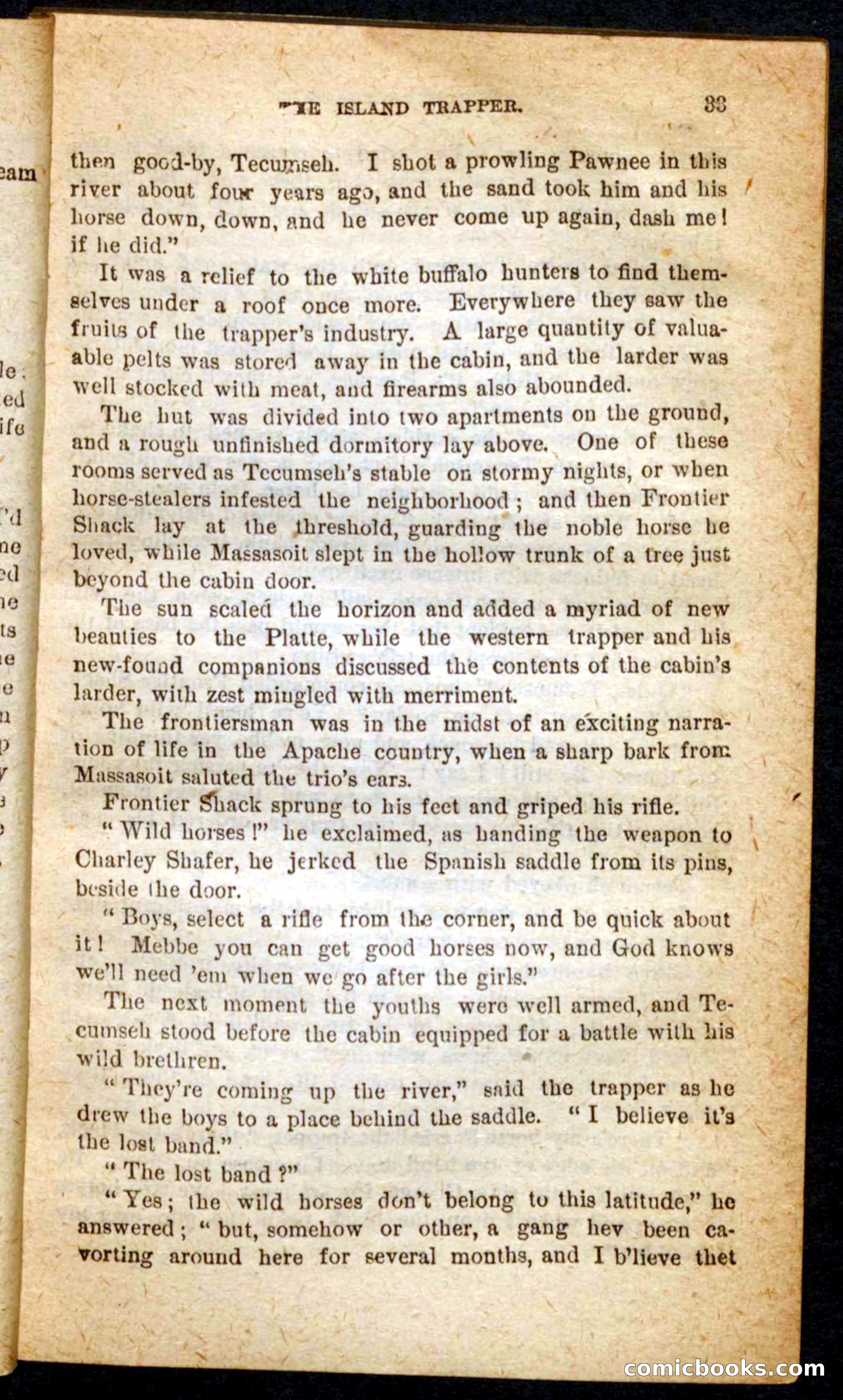 Beadle's Pocket Novels No. 64: The Island Trapper — page 29 of 100