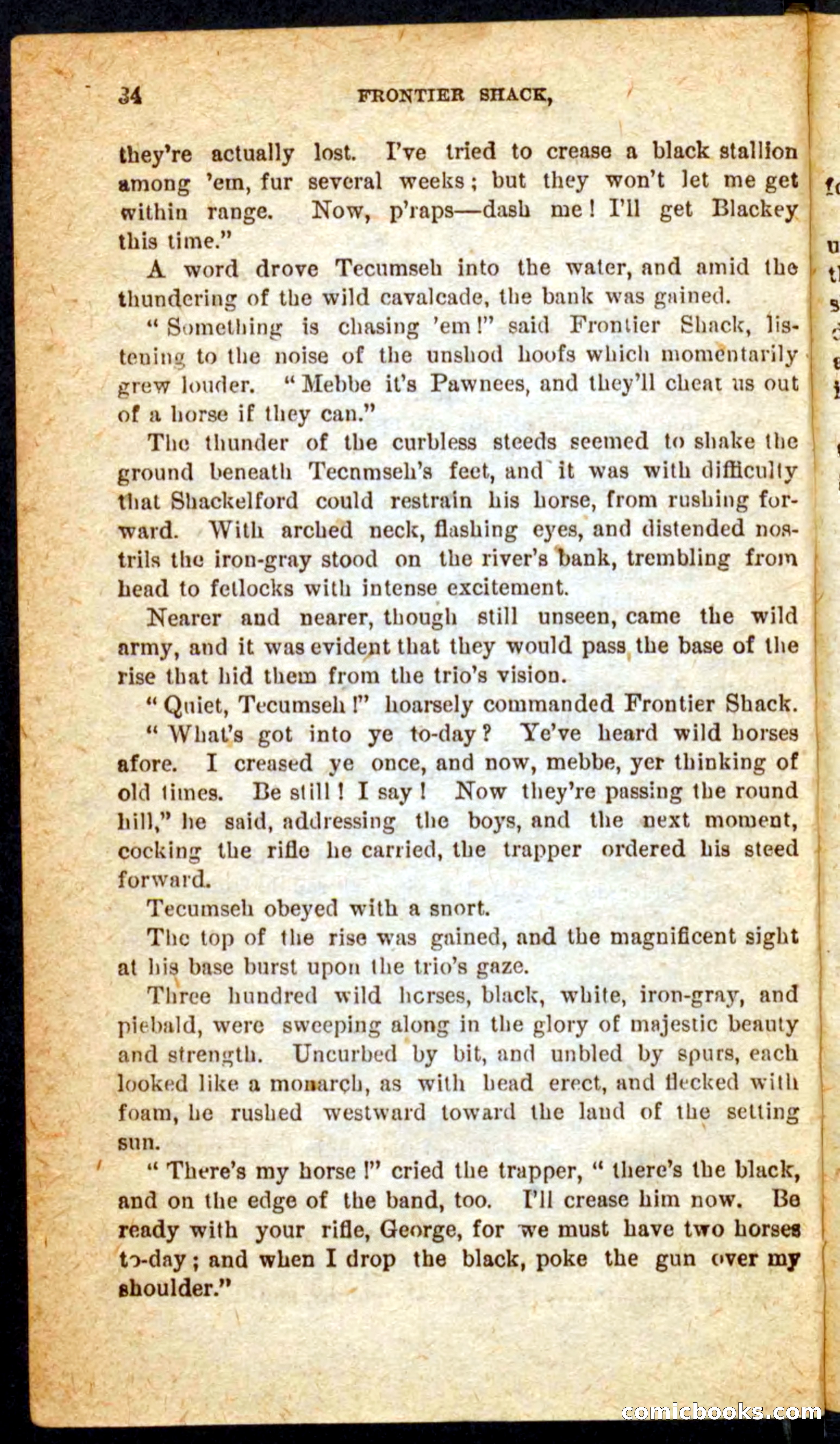 Beadle's Pocket Novels No. 64: The Island Trapper — page 30 of 100
