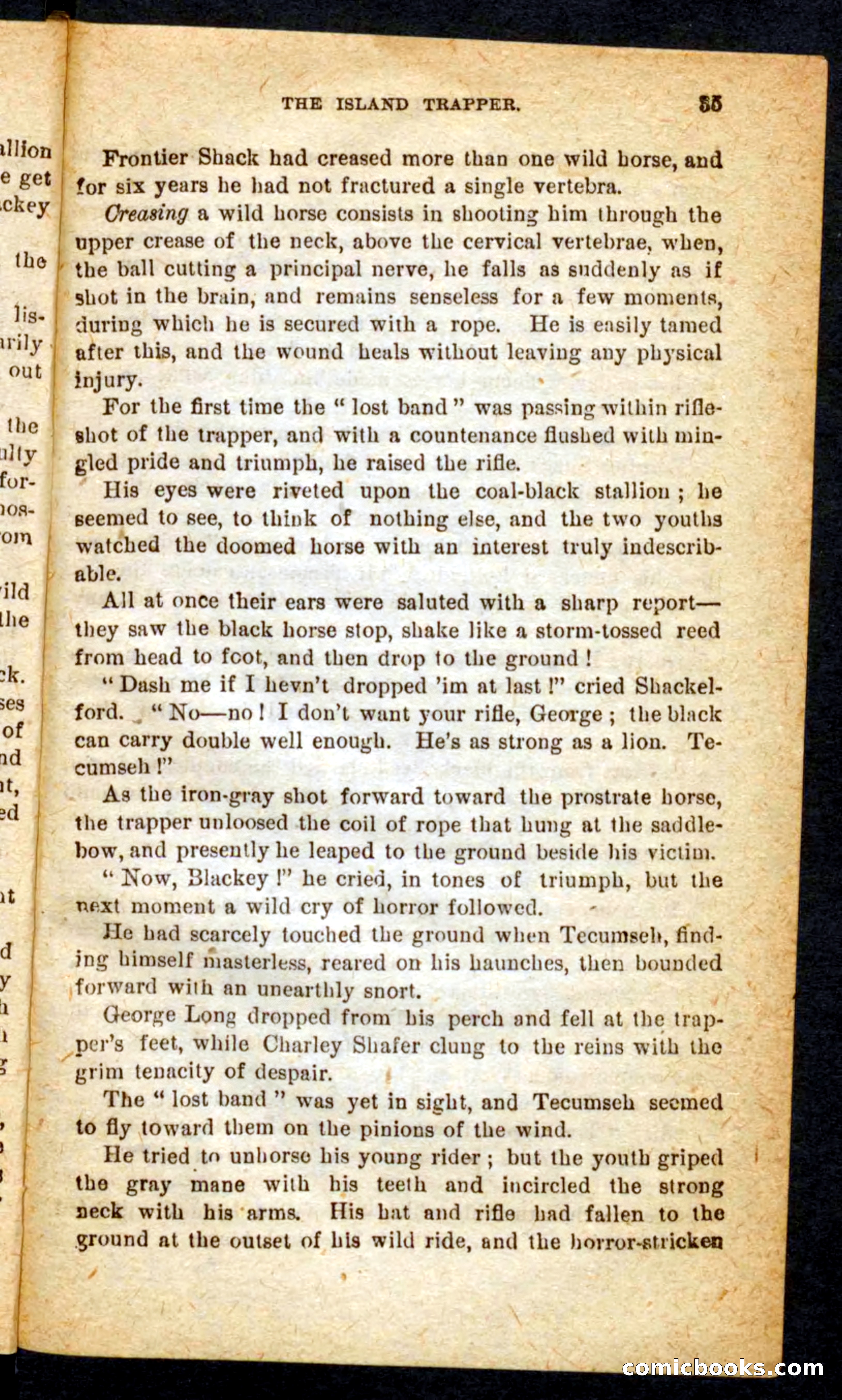 Beadle's Pocket Novels No. 64: The Island Trapper — page 31 of 100