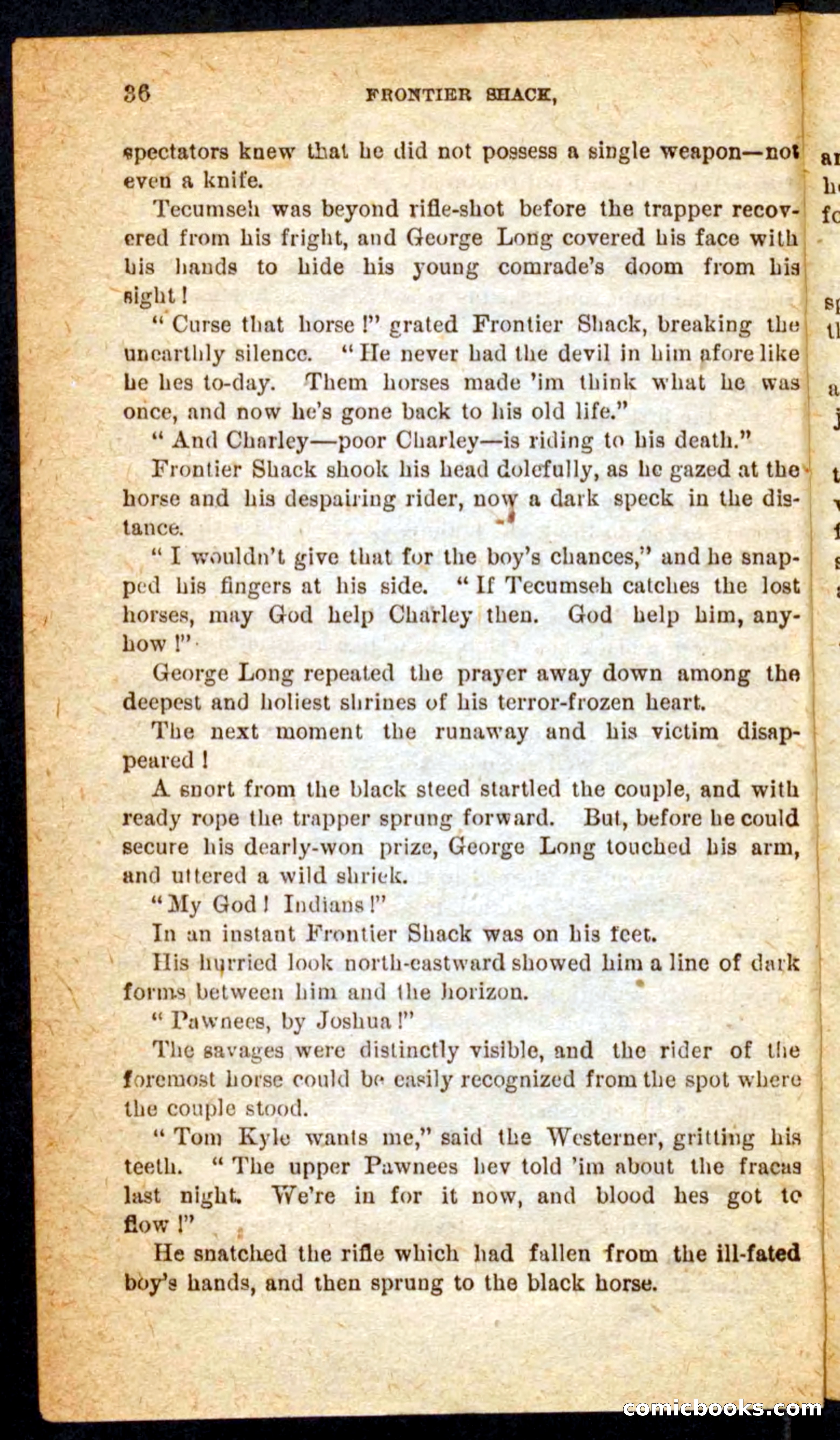 Beadle's Pocket Novels No. 64: The Island Trapper — page 32 of 100