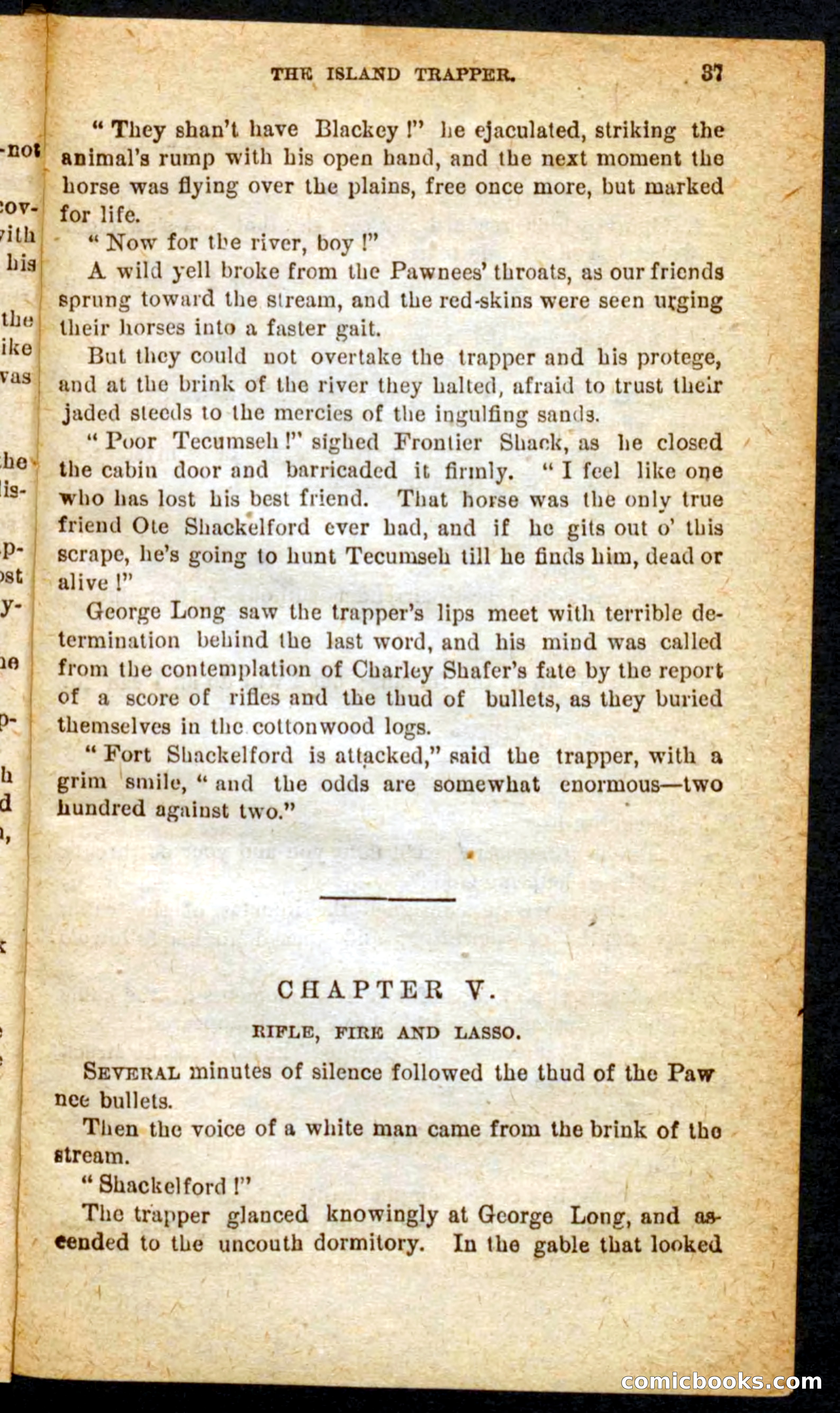 Beadle's Pocket Novels No. 64: The Island Trapper — page 33 of 100