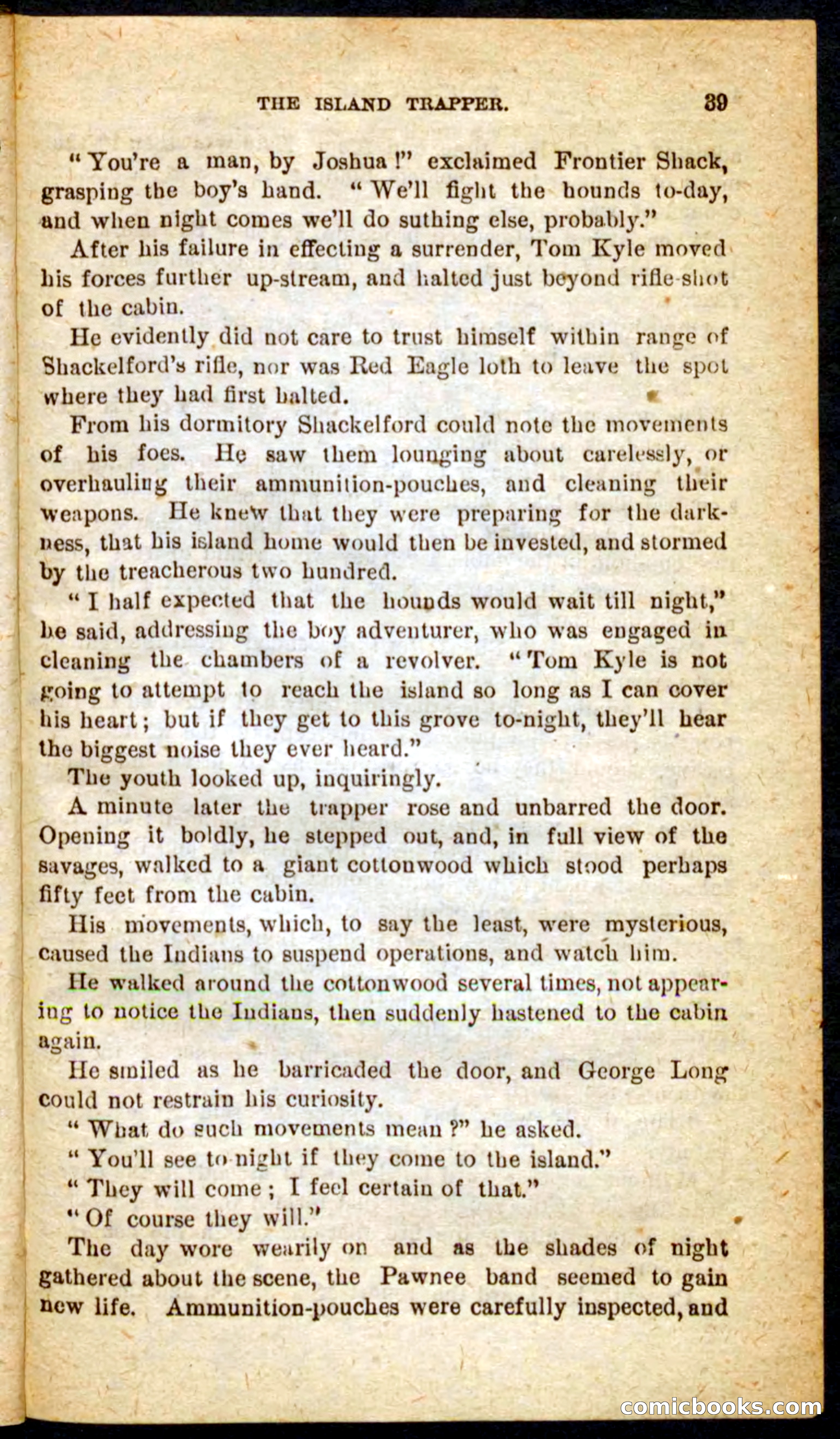 Beadle's Pocket Novels No. 64: The Island Trapper — page 35 of 100