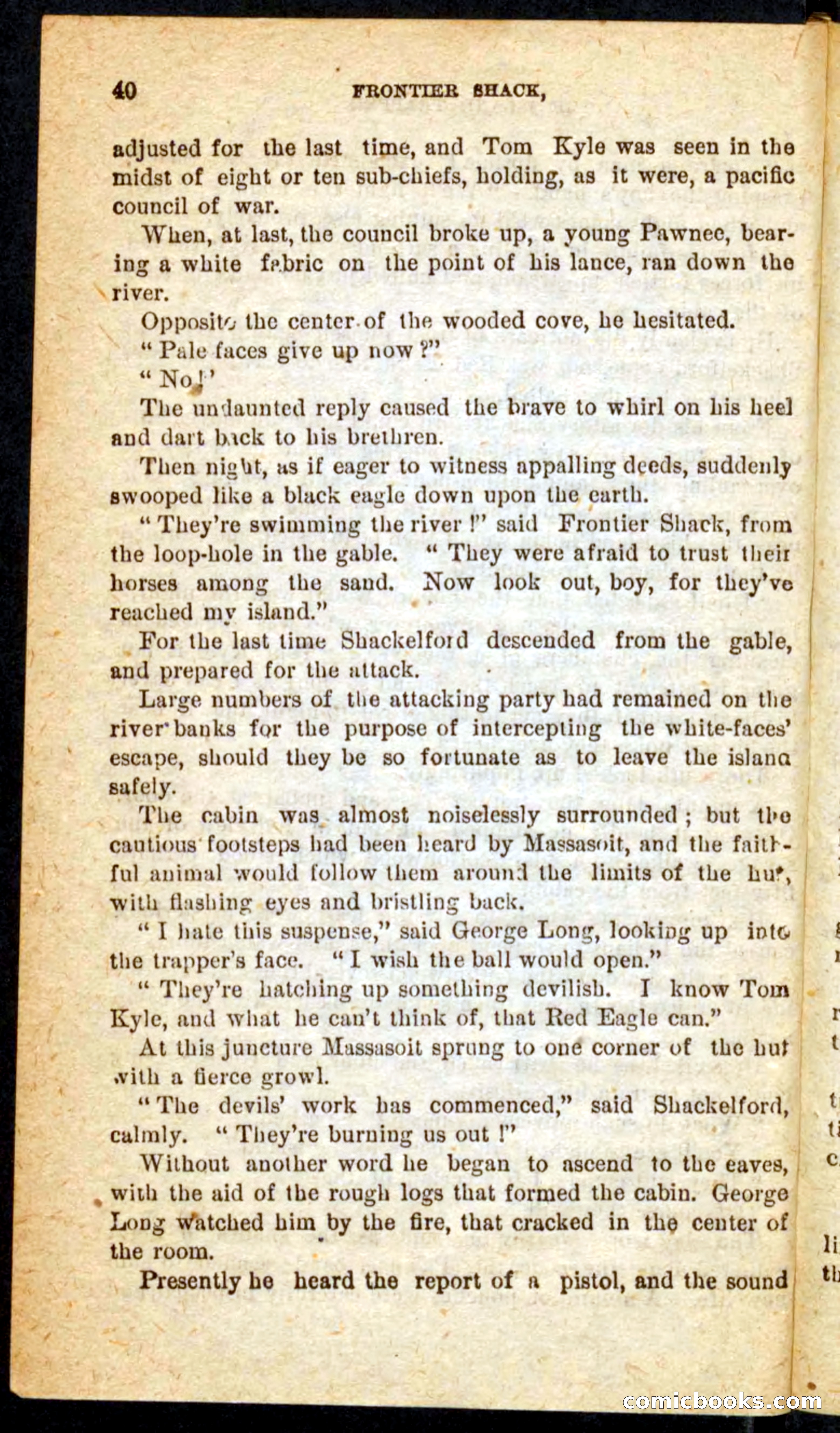 Beadle's Pocket Novels No. 64: The Island Trapper — page 36 of 100
