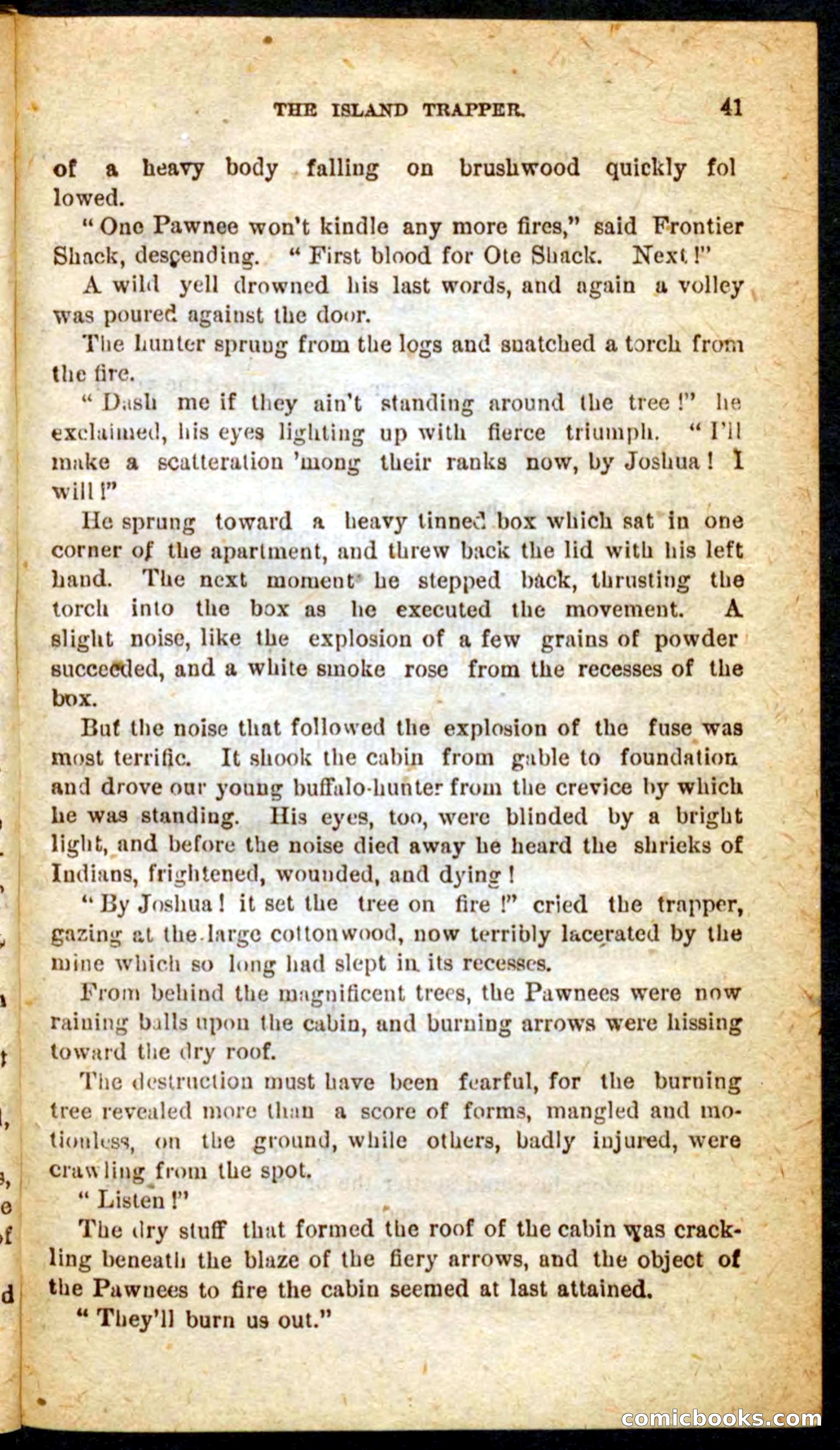 Beadle's Pocket Novels No. 64: The Island Trapper — page 37 of 100