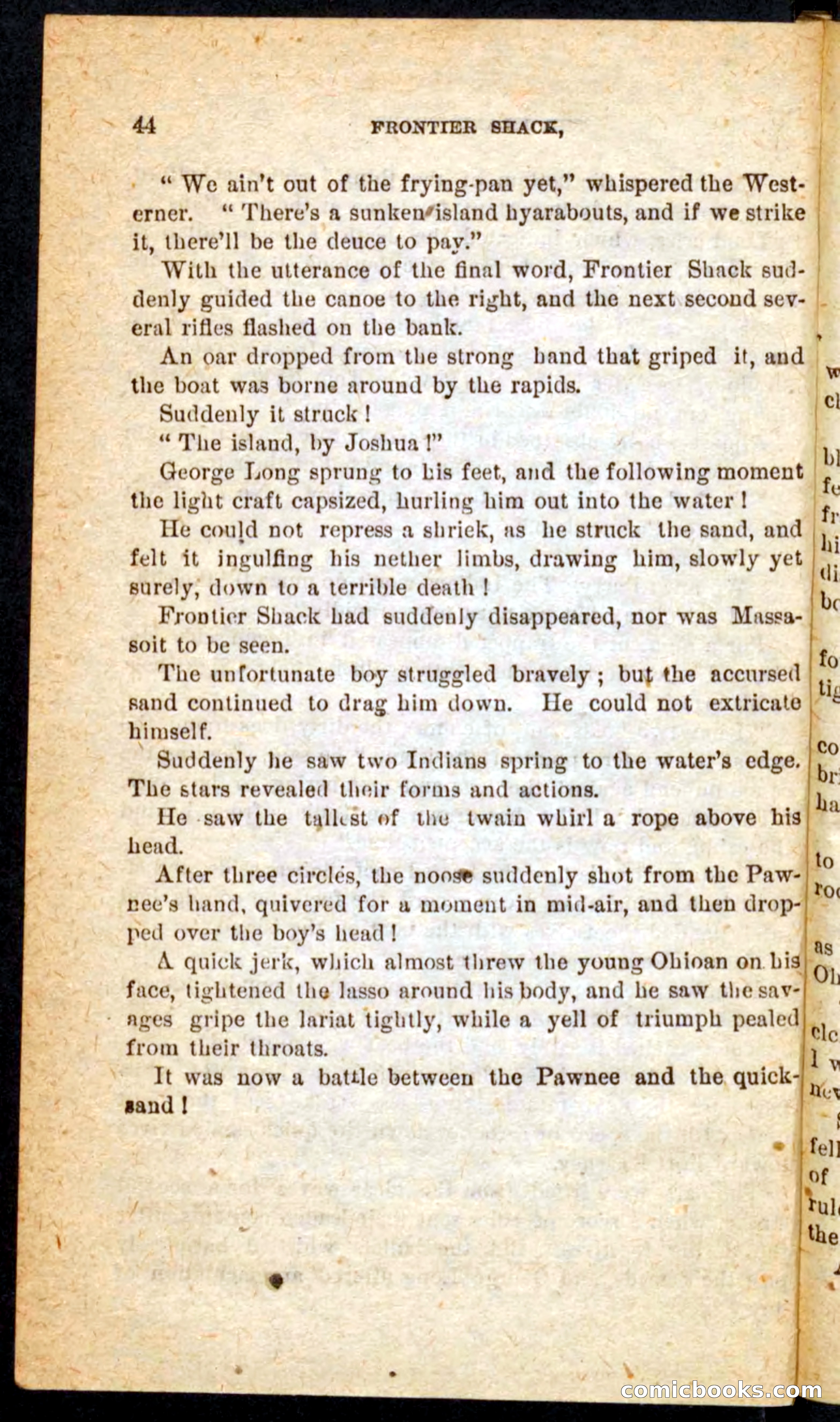 Beadle's Pocket Novels No. 64: The Island Trapper — page 40 of 100