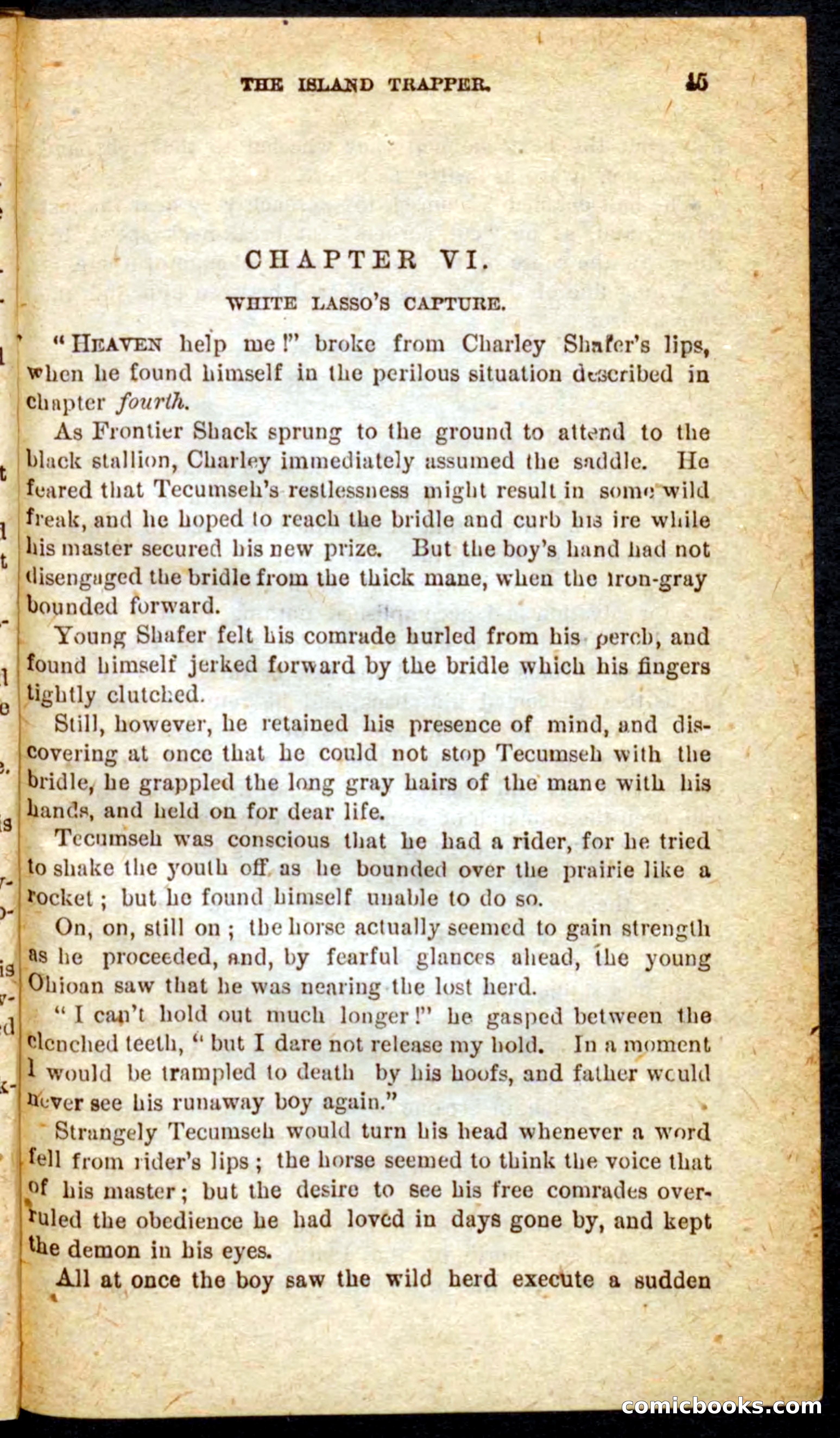 Beadle's Pocket Novels No. 64: The Island Trapper — page 41 of 100