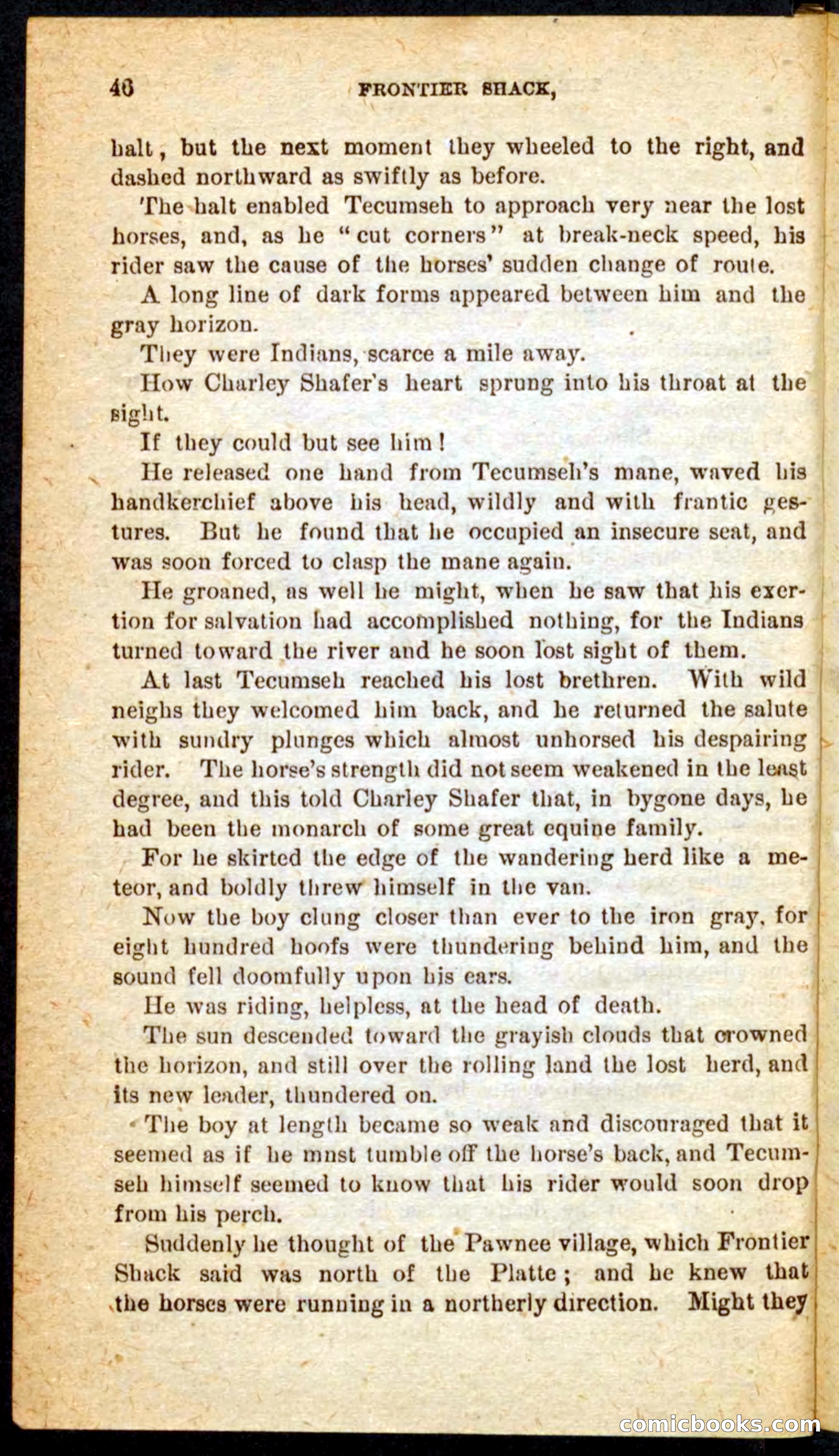 Beadle's Pocket Novels No. 64: The Island Trapper — page 42 of 100