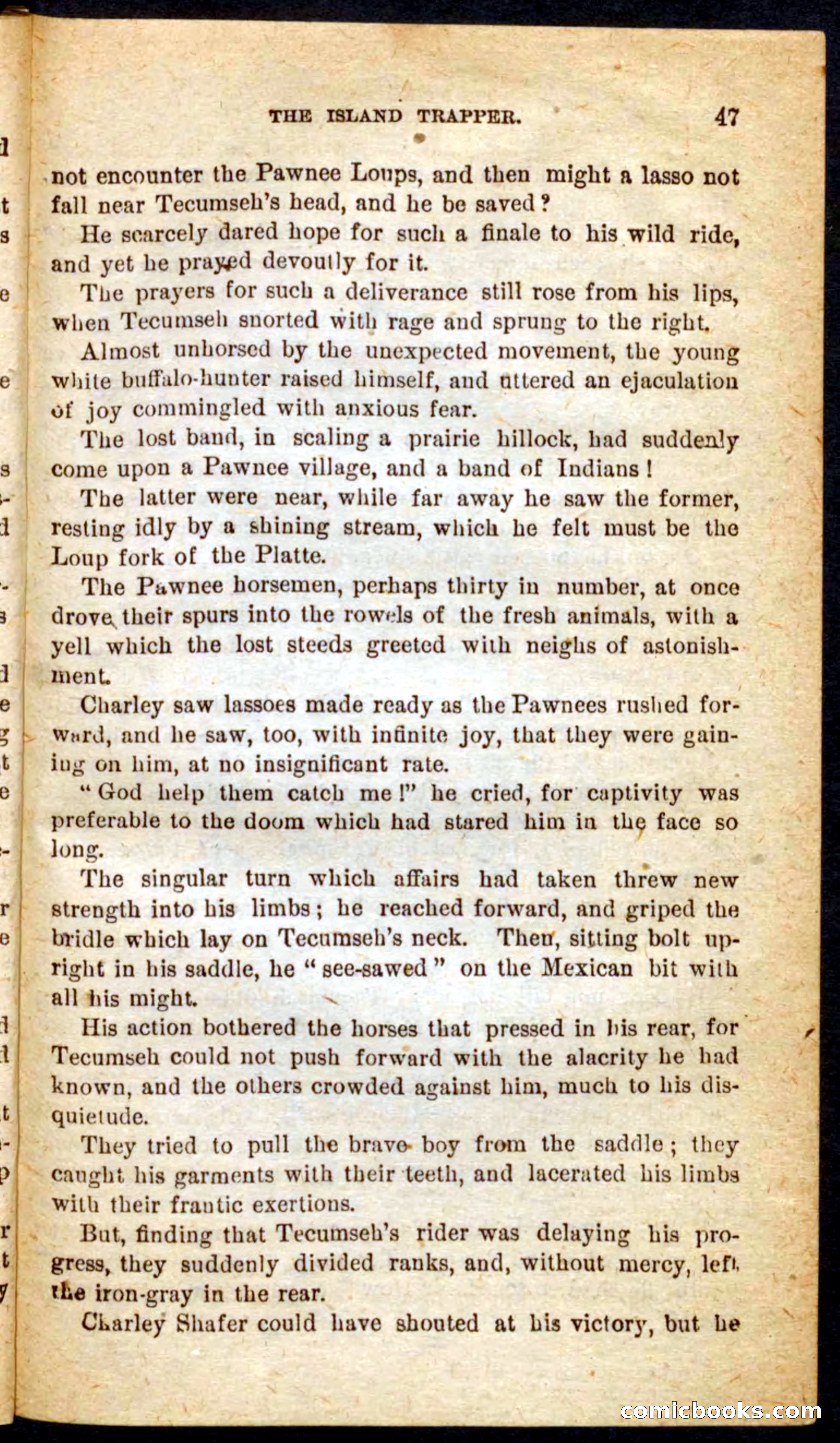 Beadle's Pocket Novels No. 64: The Island Trapper — page 43 of 100