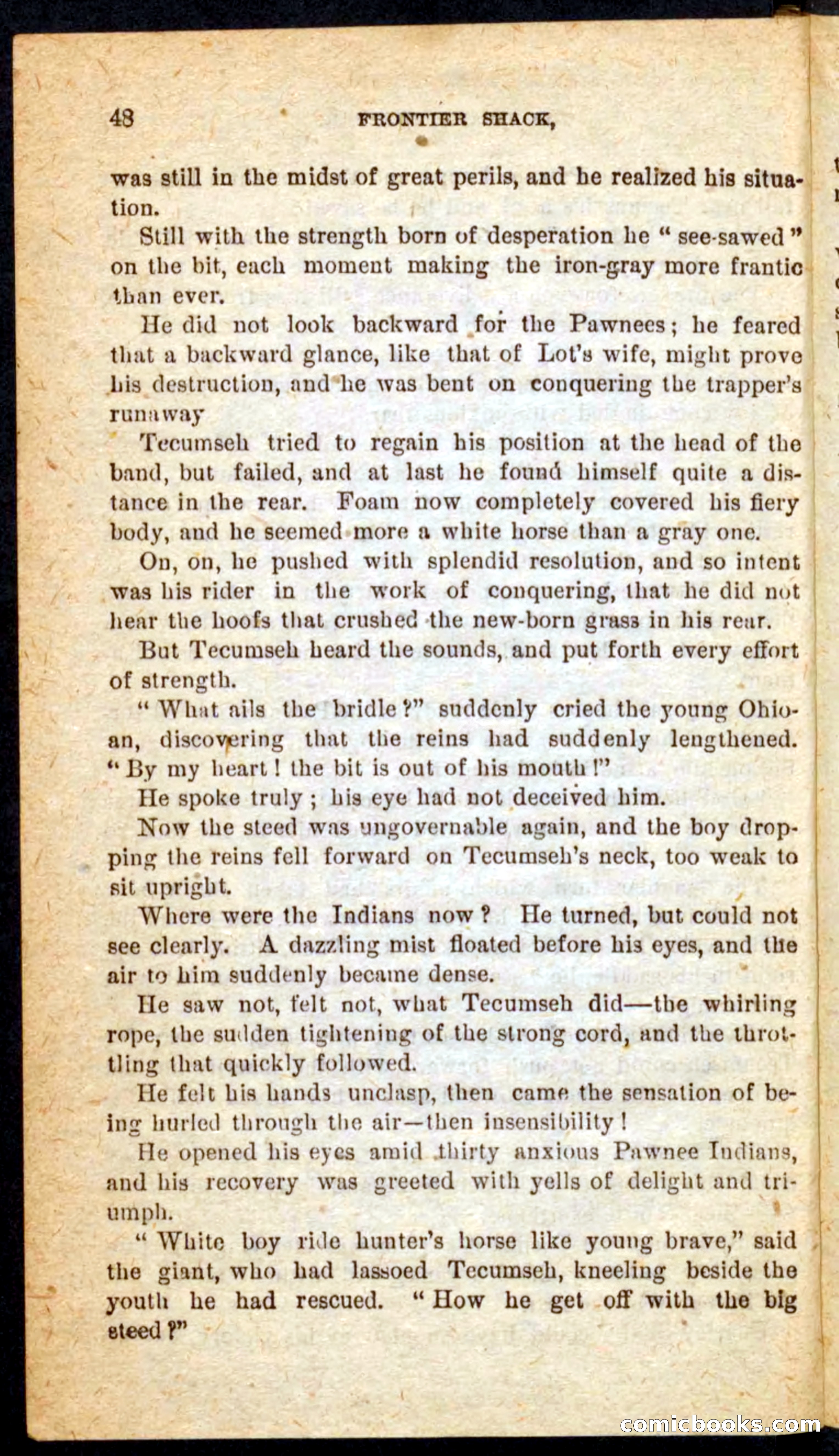 Beadle's Pocket Novels No. 64: The Island Trapper — page 44 of 100