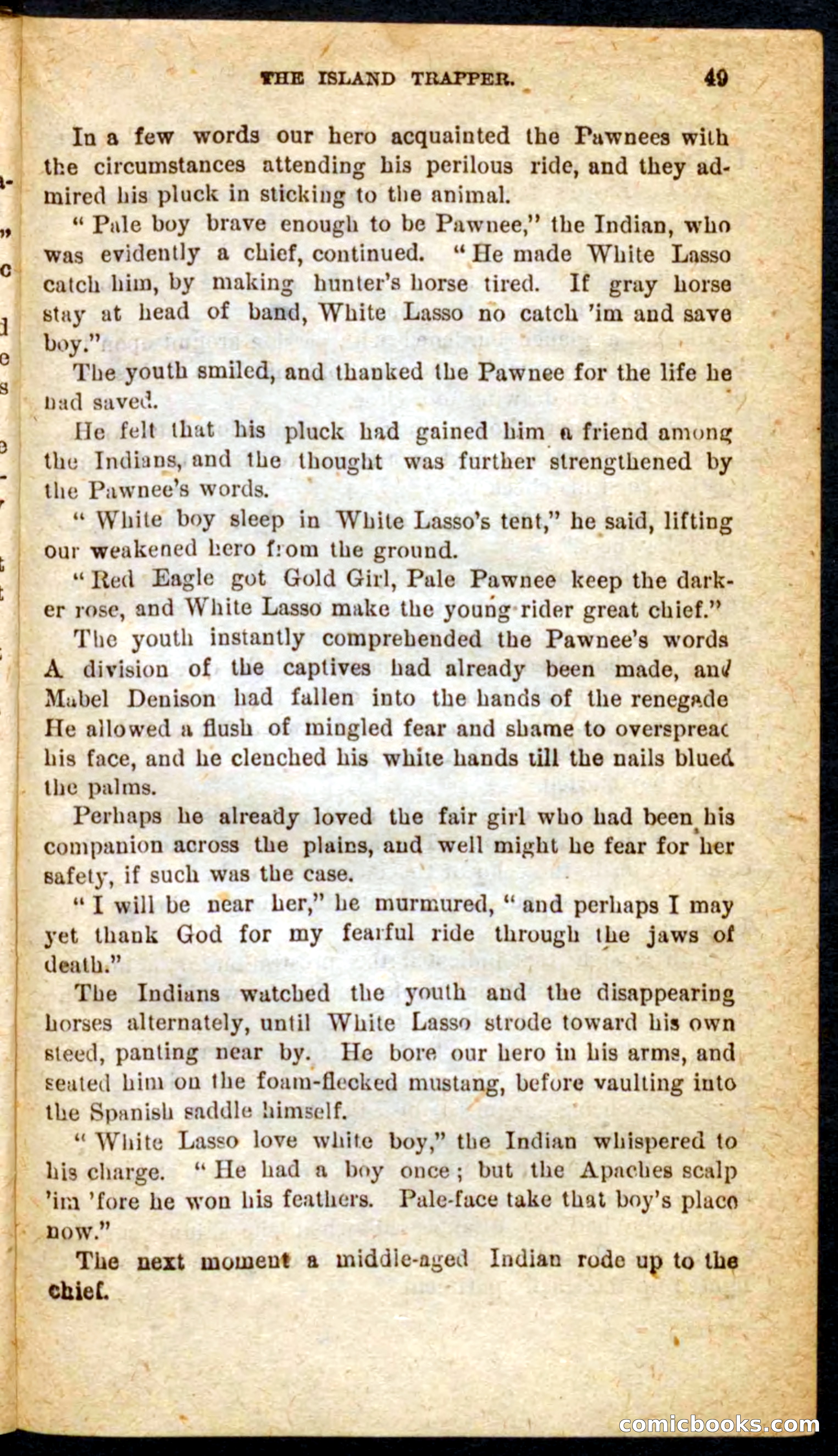 Beadle's Pocket Novels No. 64: The Island Trapper — page 45 of 100