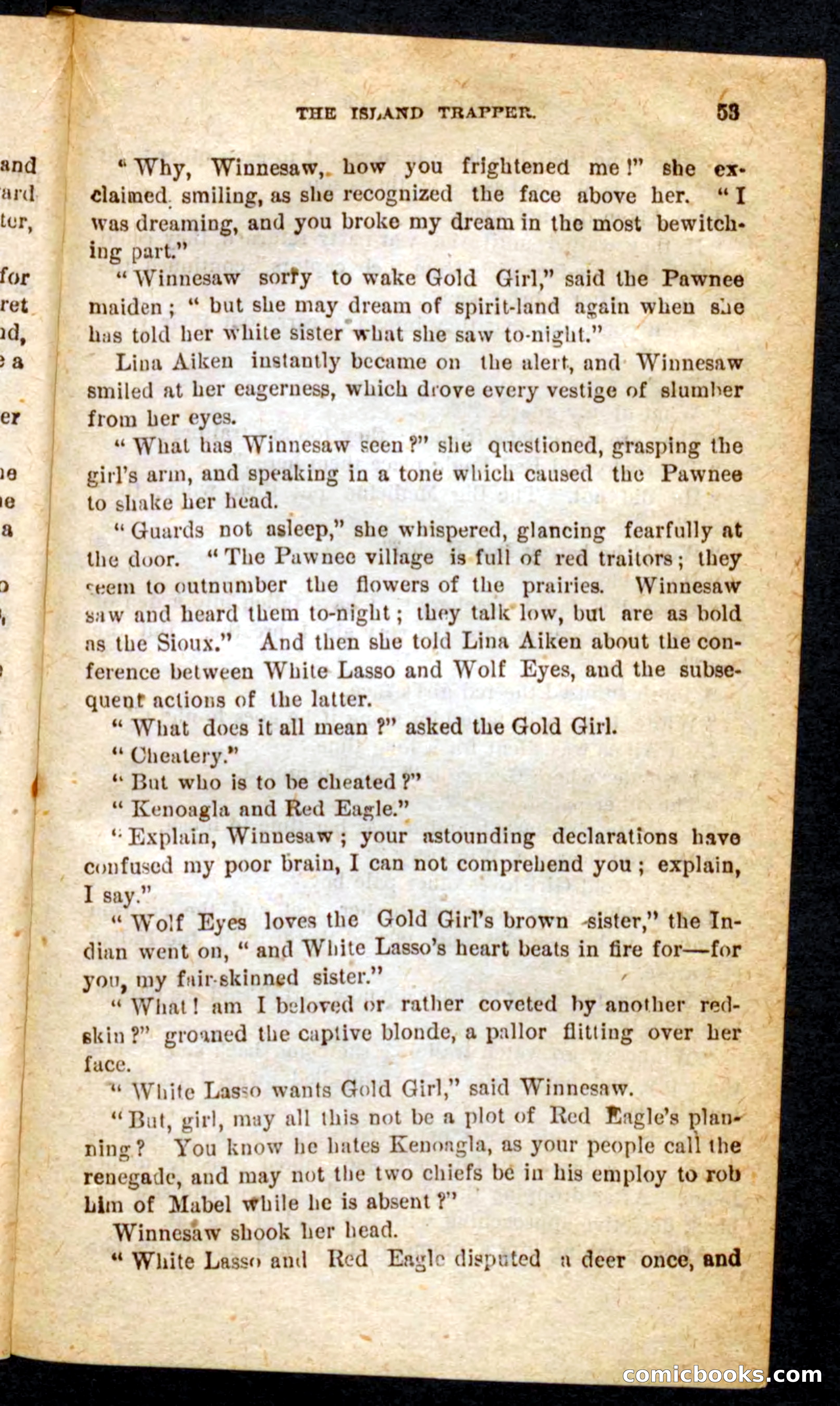 Beadle's Pocket Novels No. 64: The Island Trapper — page 49 of 100