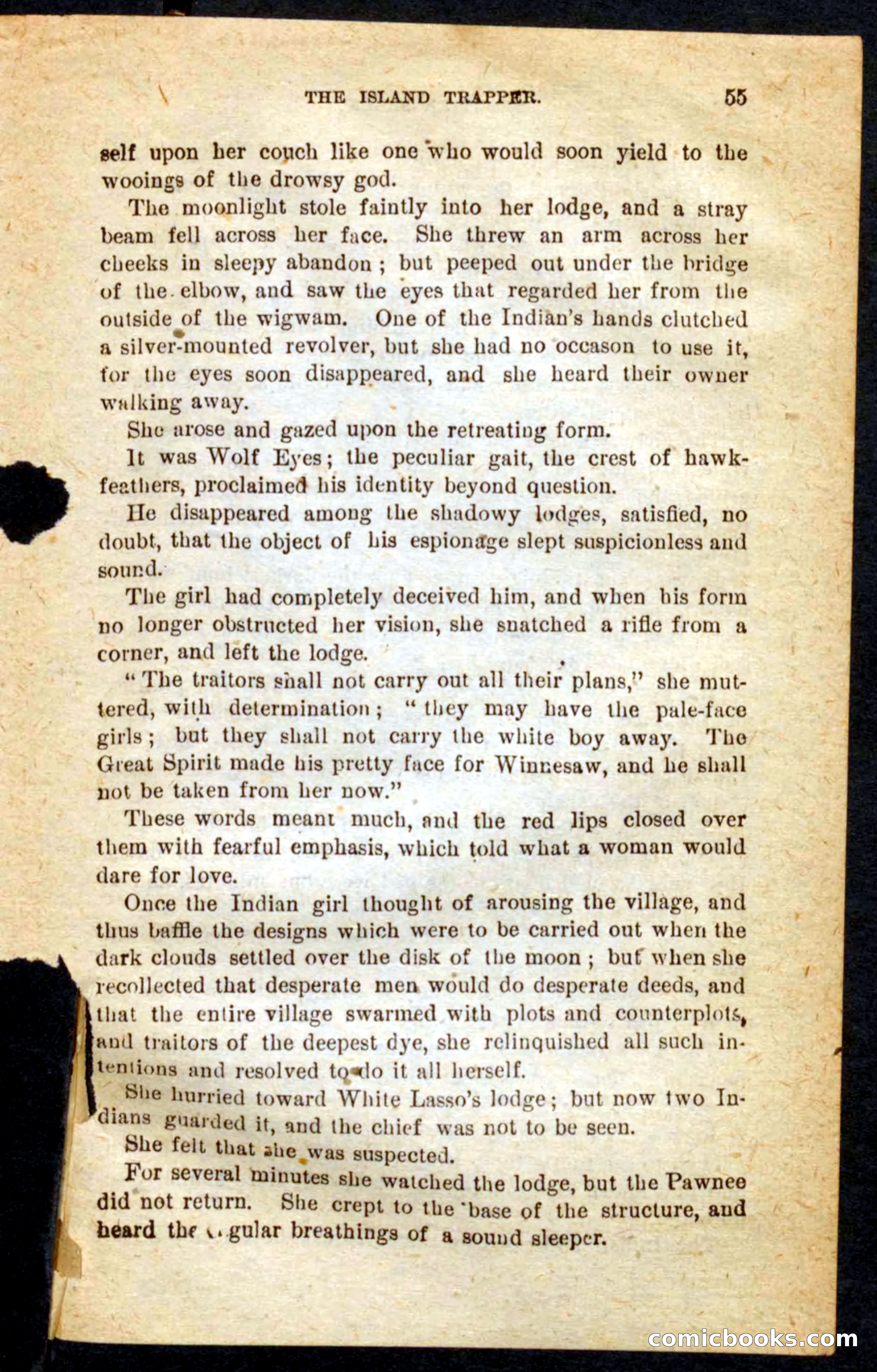 Beadle's Pocket Novels No. 64: The Island Trapper — page 51 of 100