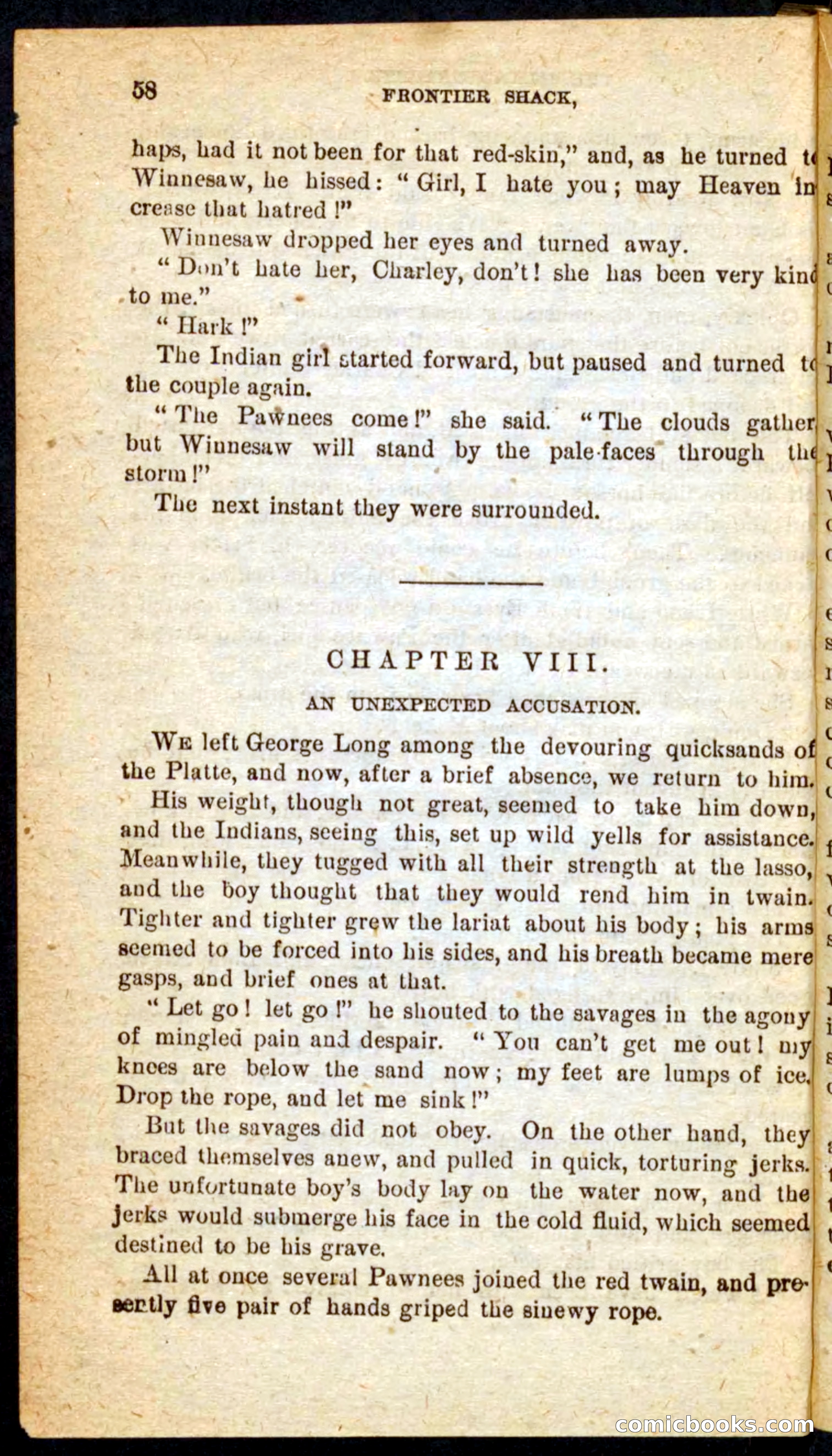 Beadle's Pocket Novels No. 64: The Island Trapper — page 54 of 100