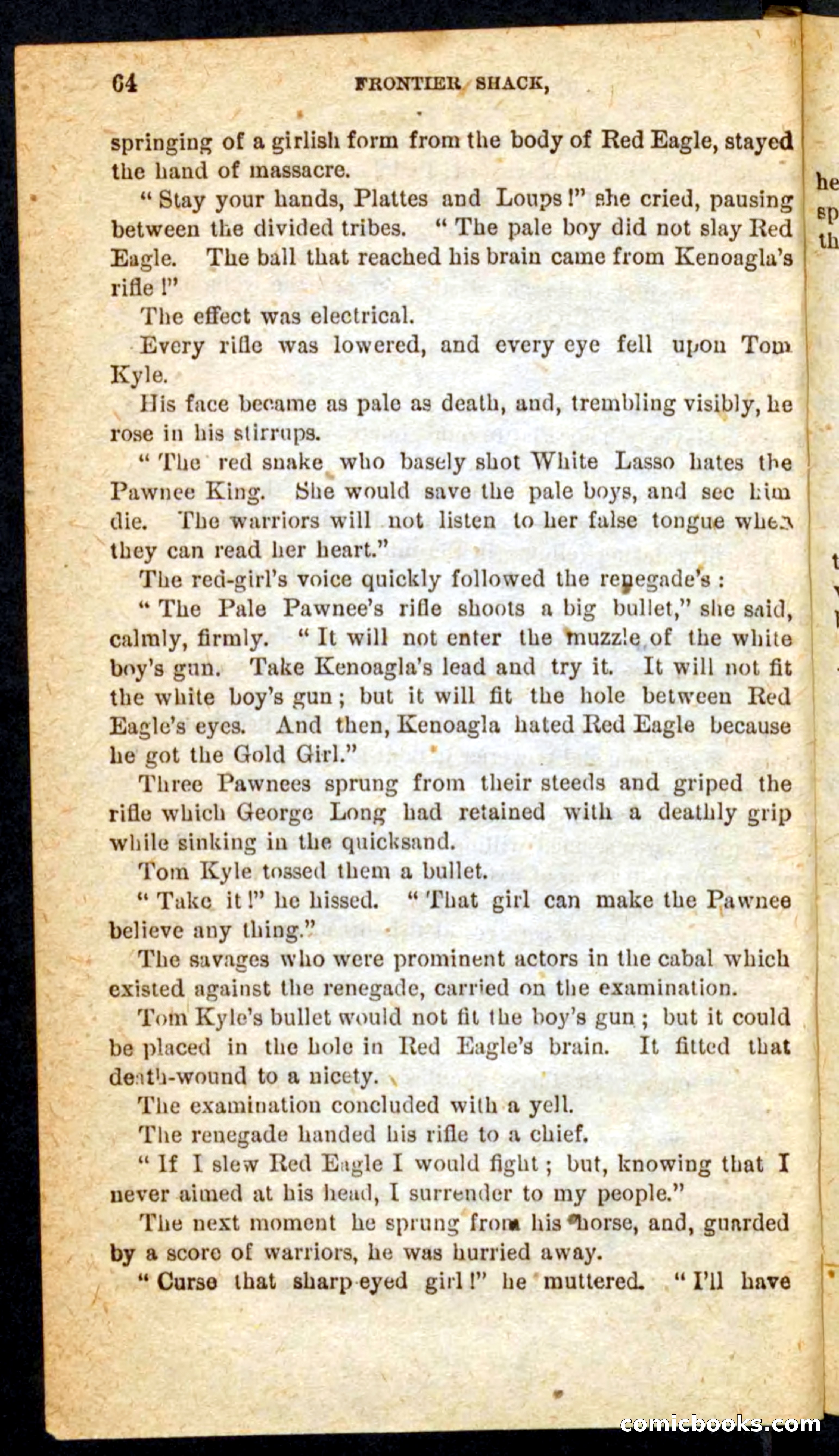 Beadle's Pocket Novels No. 64: The Island Trapper — page 60 of 100