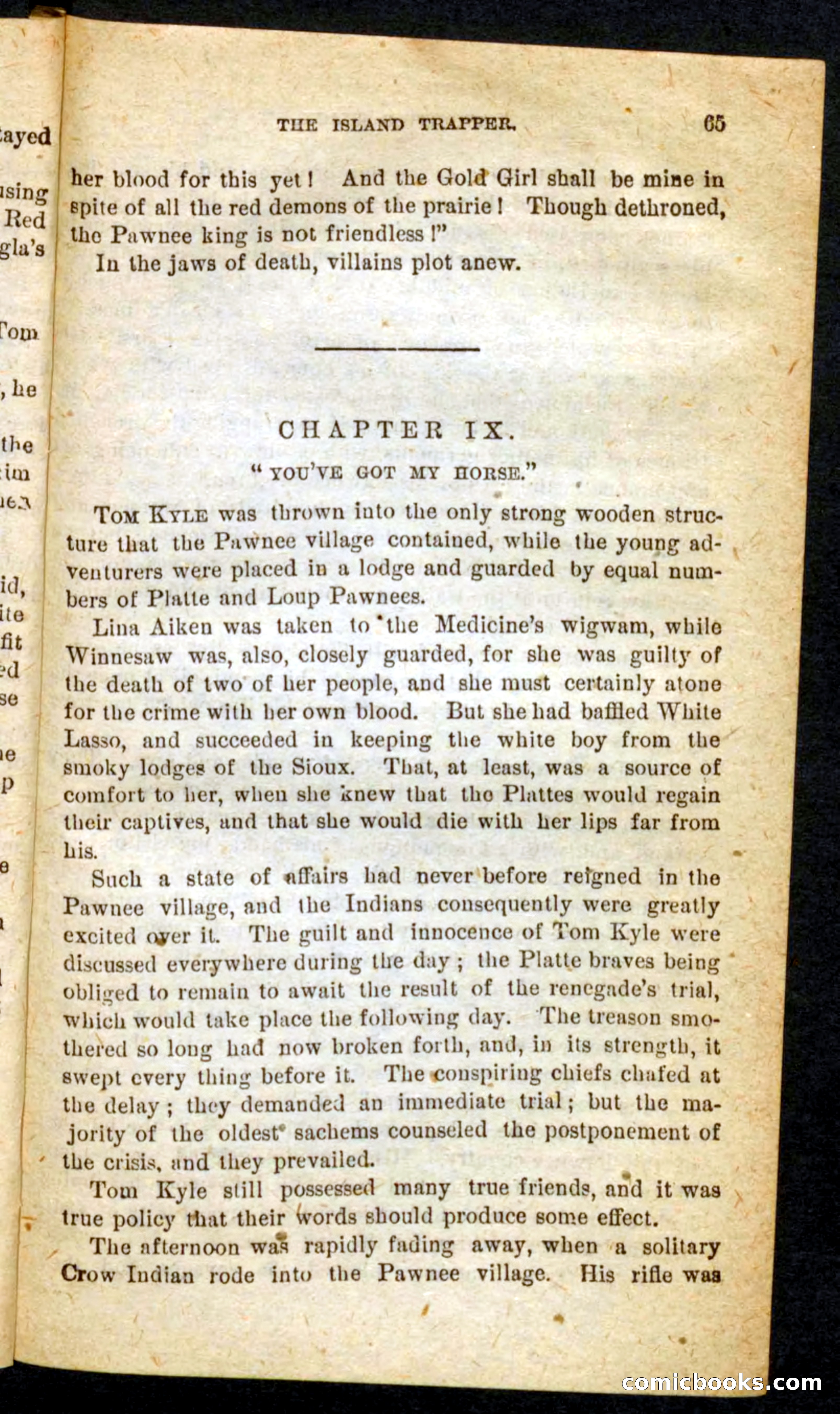 Beadle's Pocket Novels No. 64: The Island Trapper — page 61 of 100