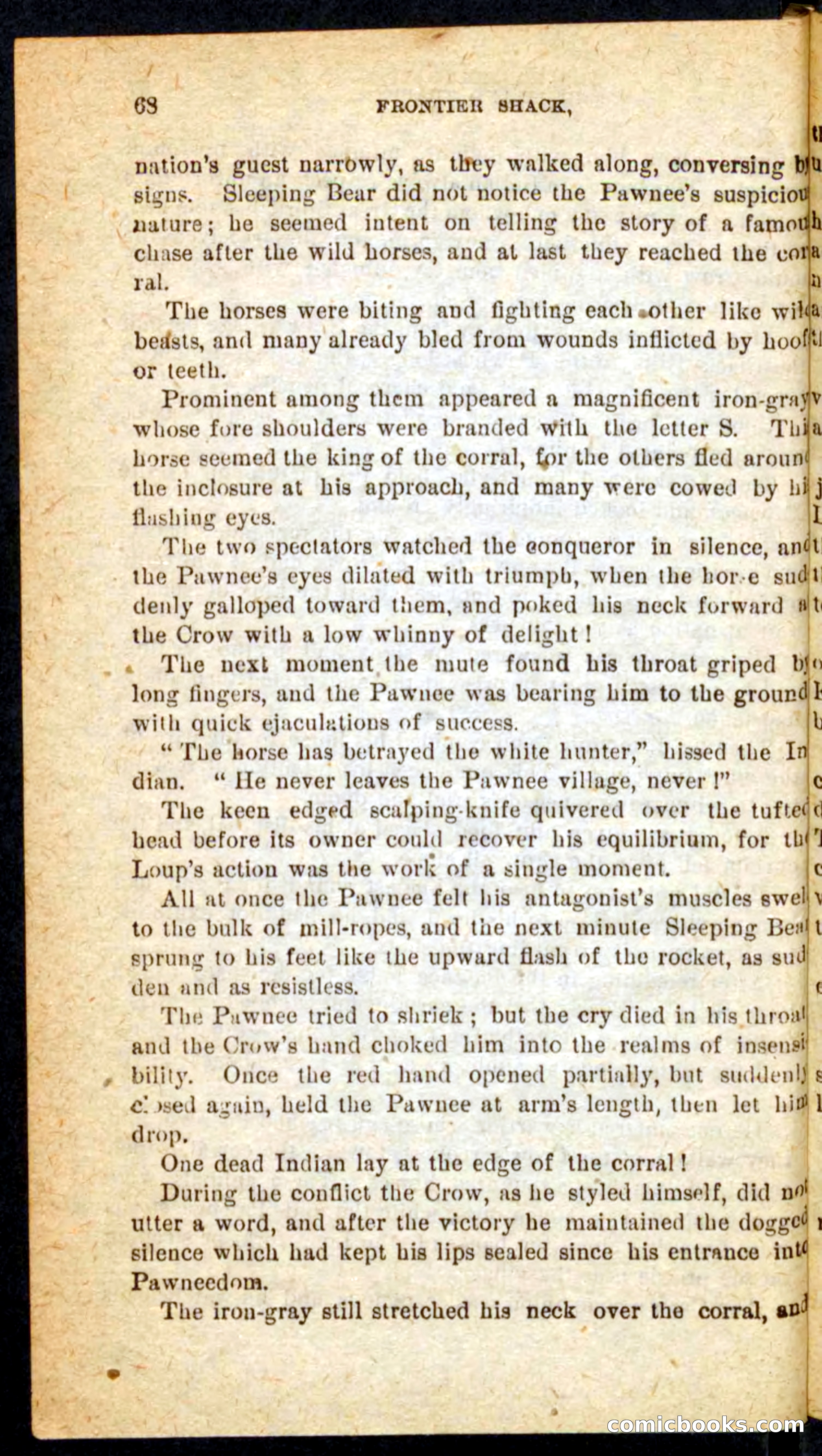 Beadle's Pocket Novels No. 64: The Island Trapper — page 64 of 100