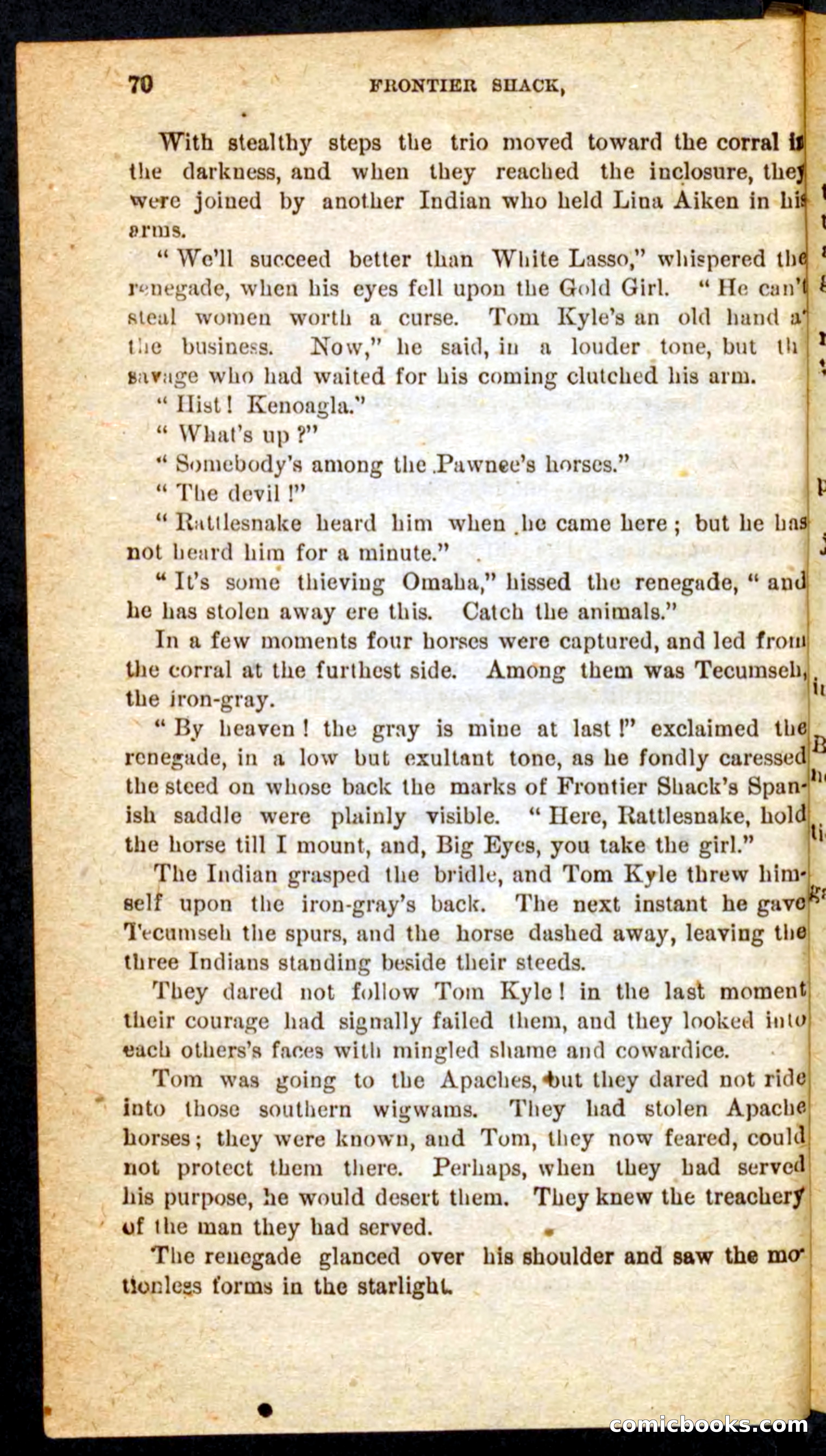 Beadle's Pocket Novels No. 64: The Island Trapper — page 66 of 100