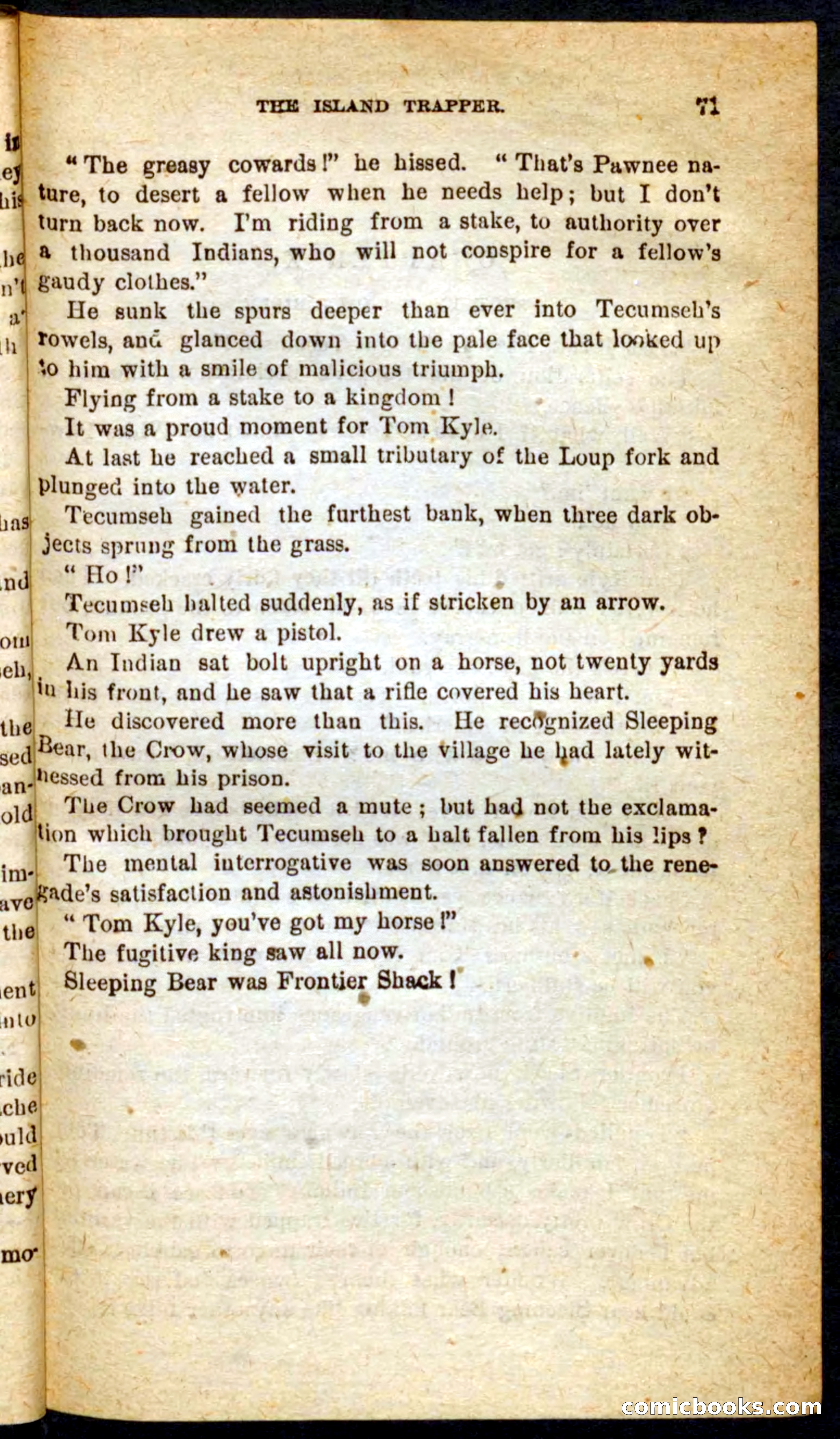 Beadle's Pocket Novels No. 64: The Island Trapper — page 67 of 100