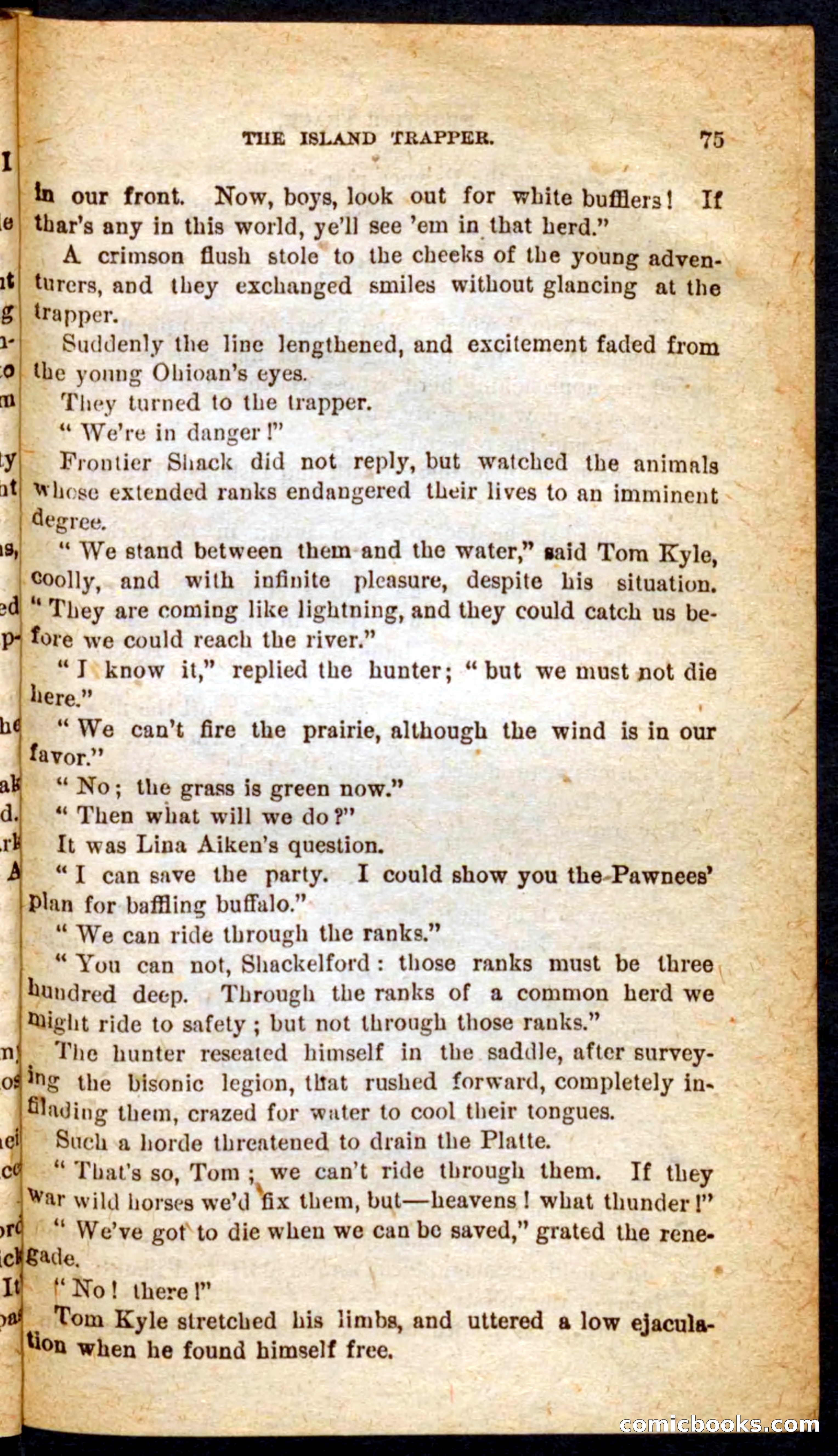 Beadle's Pocket Novels No. 64: The Island Trapper — page 71 of 100