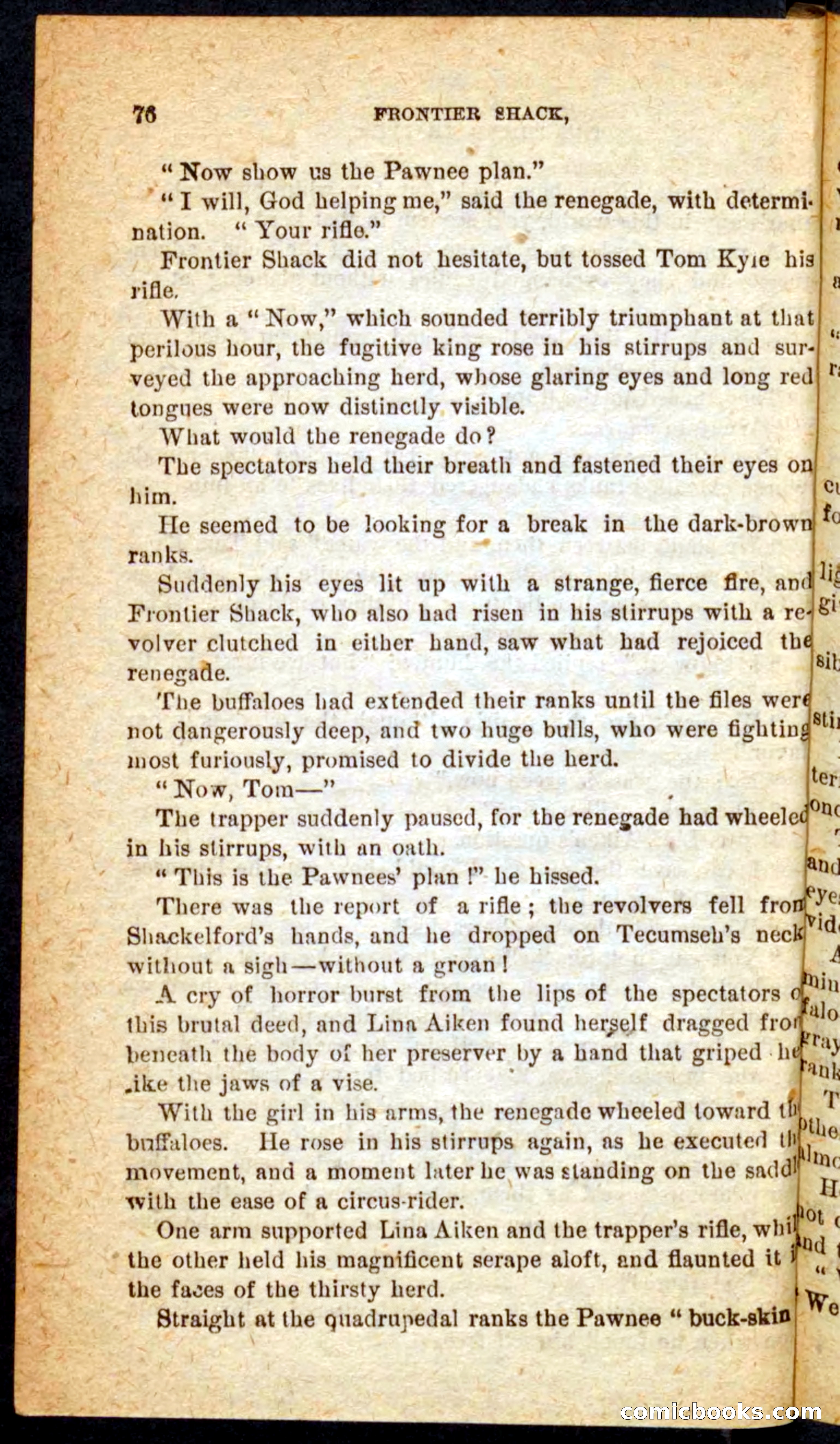 Beadle's Pocket Novels No. 64: The Island Trapper — page 72 of 100