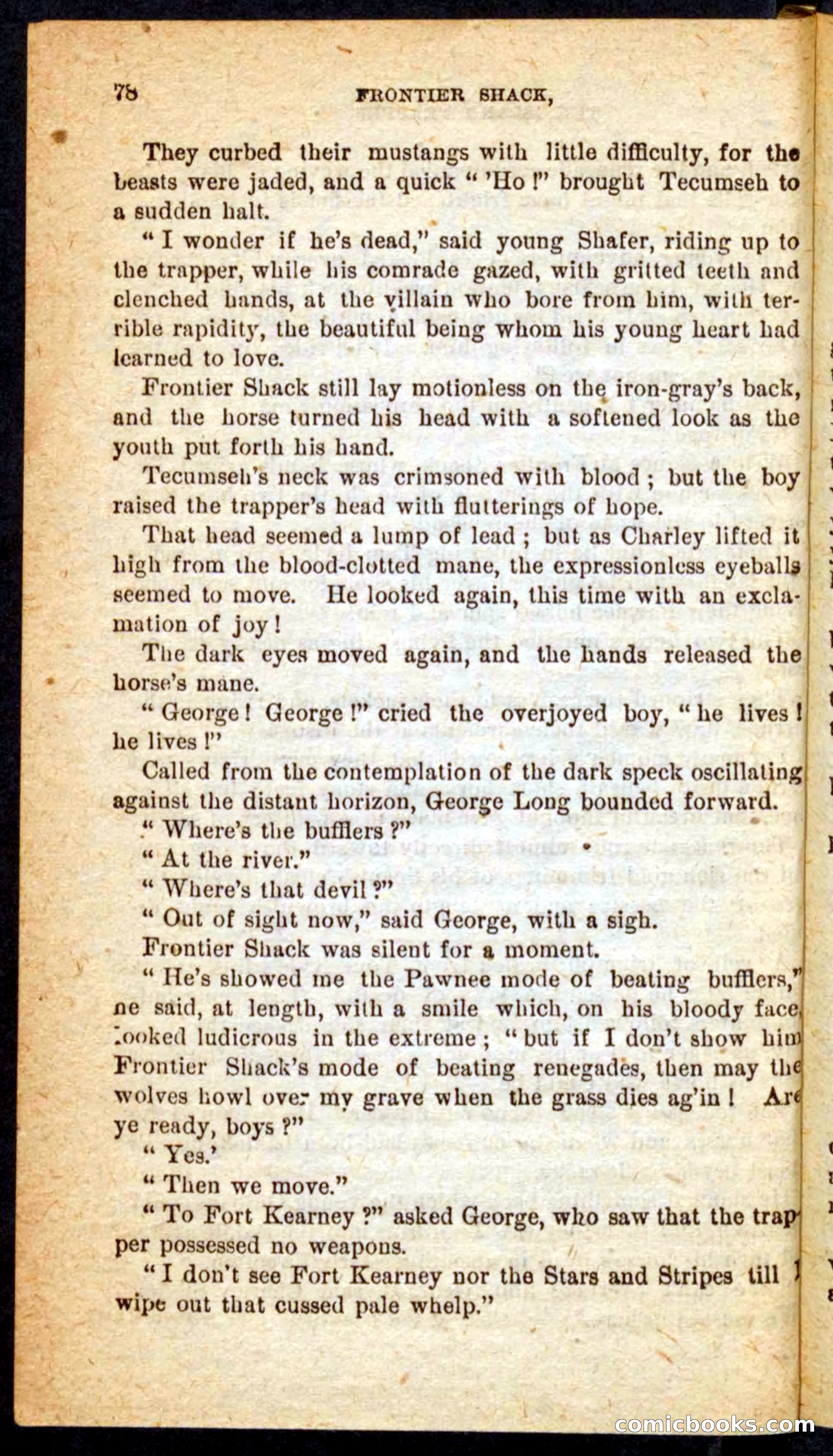 Beadle's Pocket Novels No. 64: The Island Trapper — page 74 of 100