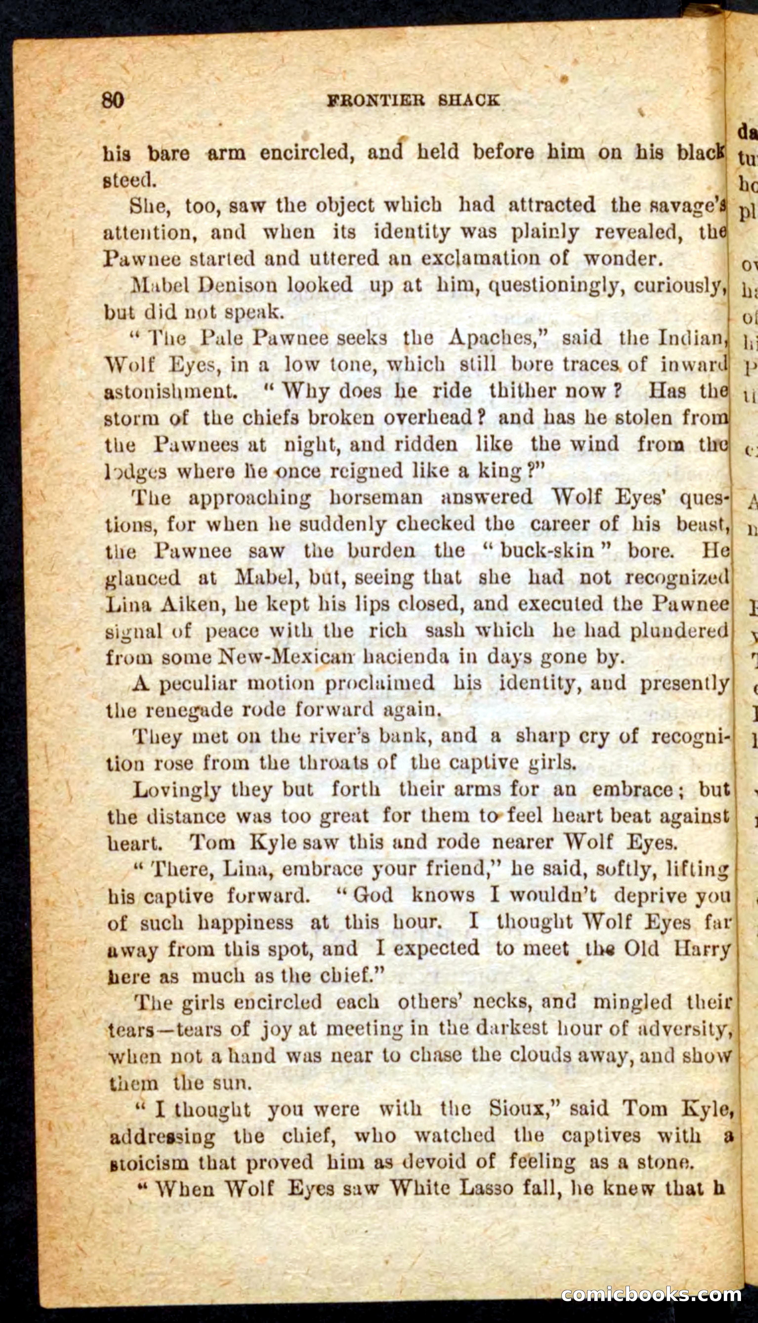 Beadle's Pocket Novels No. 64: The Island Trapper — page 76 of 100