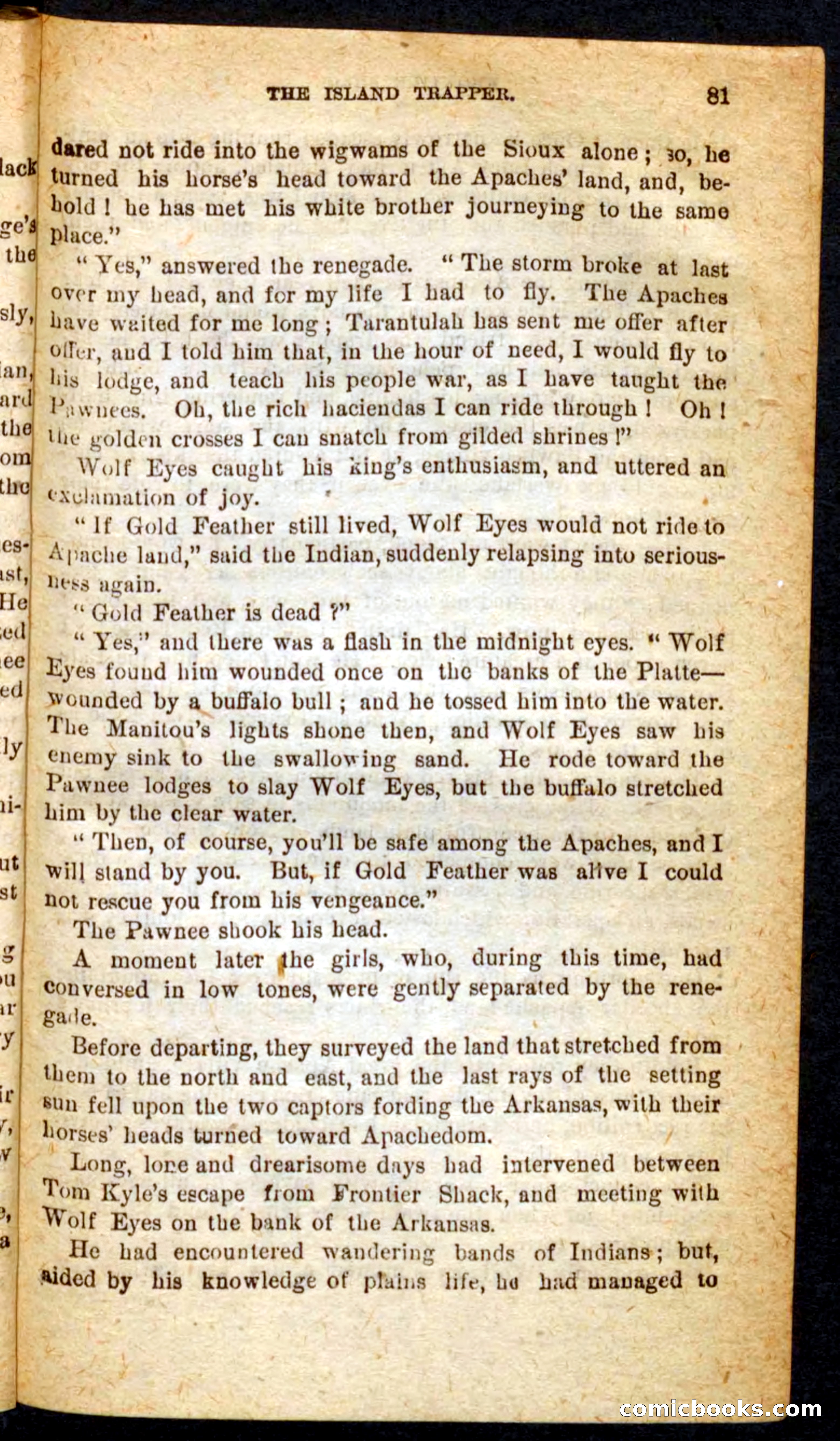 Beadle's Pocket Novels No. 64: The Island Trapper — page 77 of 100