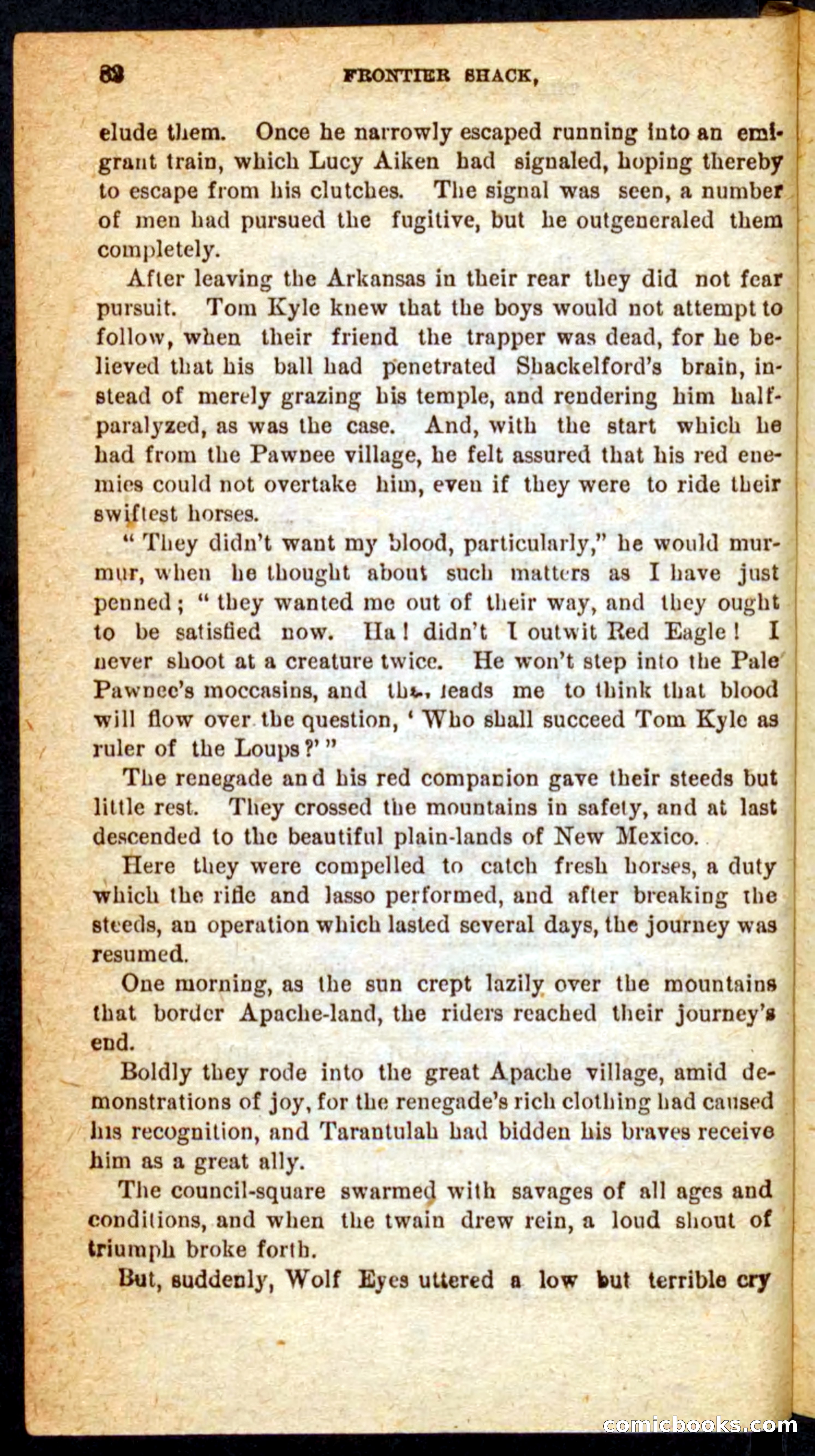 Beadle's Pocket Novels No. 64: The Island Trapper — page 78 of 100