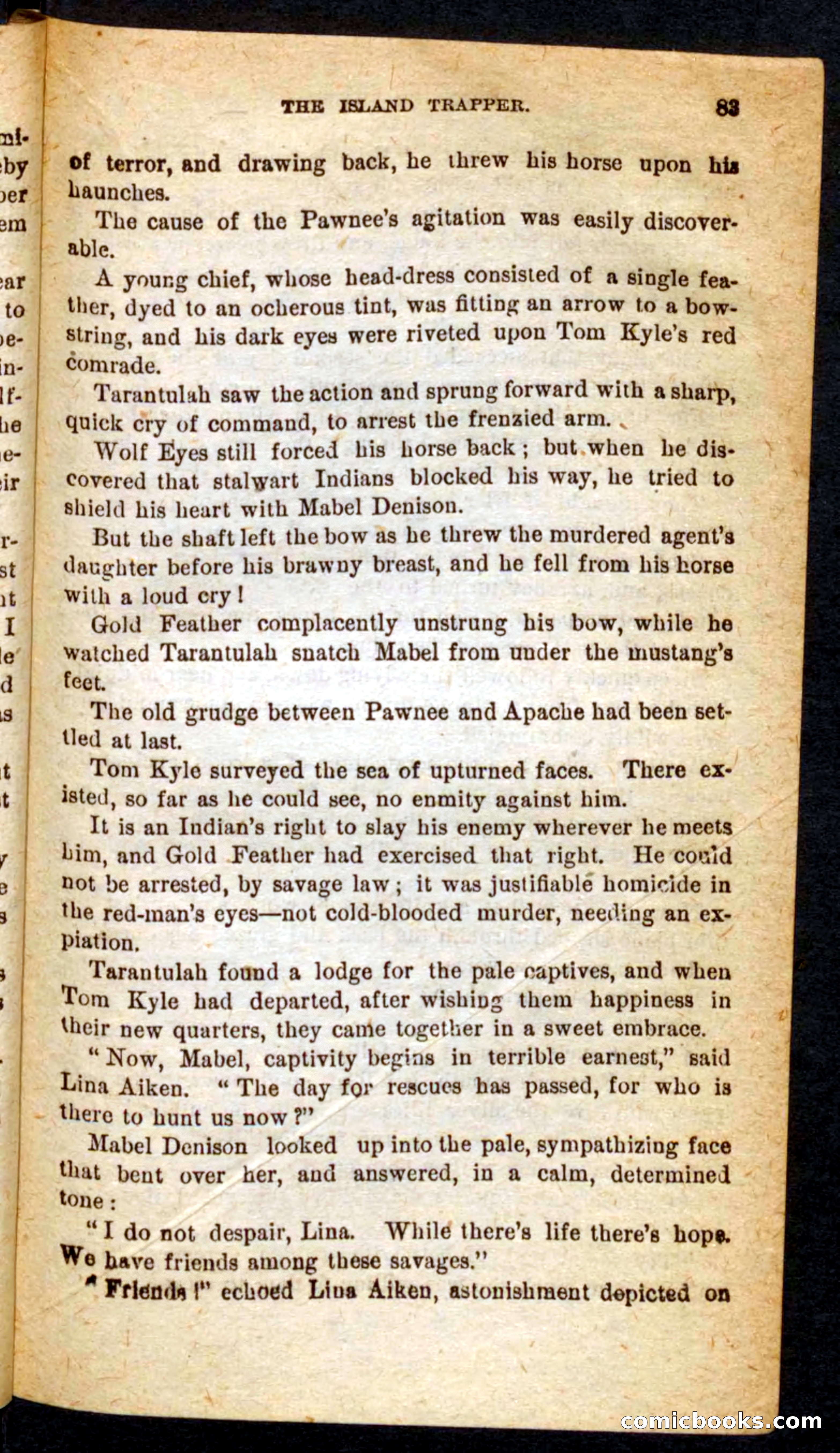 Beadle's Pocket Novels No. 64: The Island Trapper — page 79 of 100