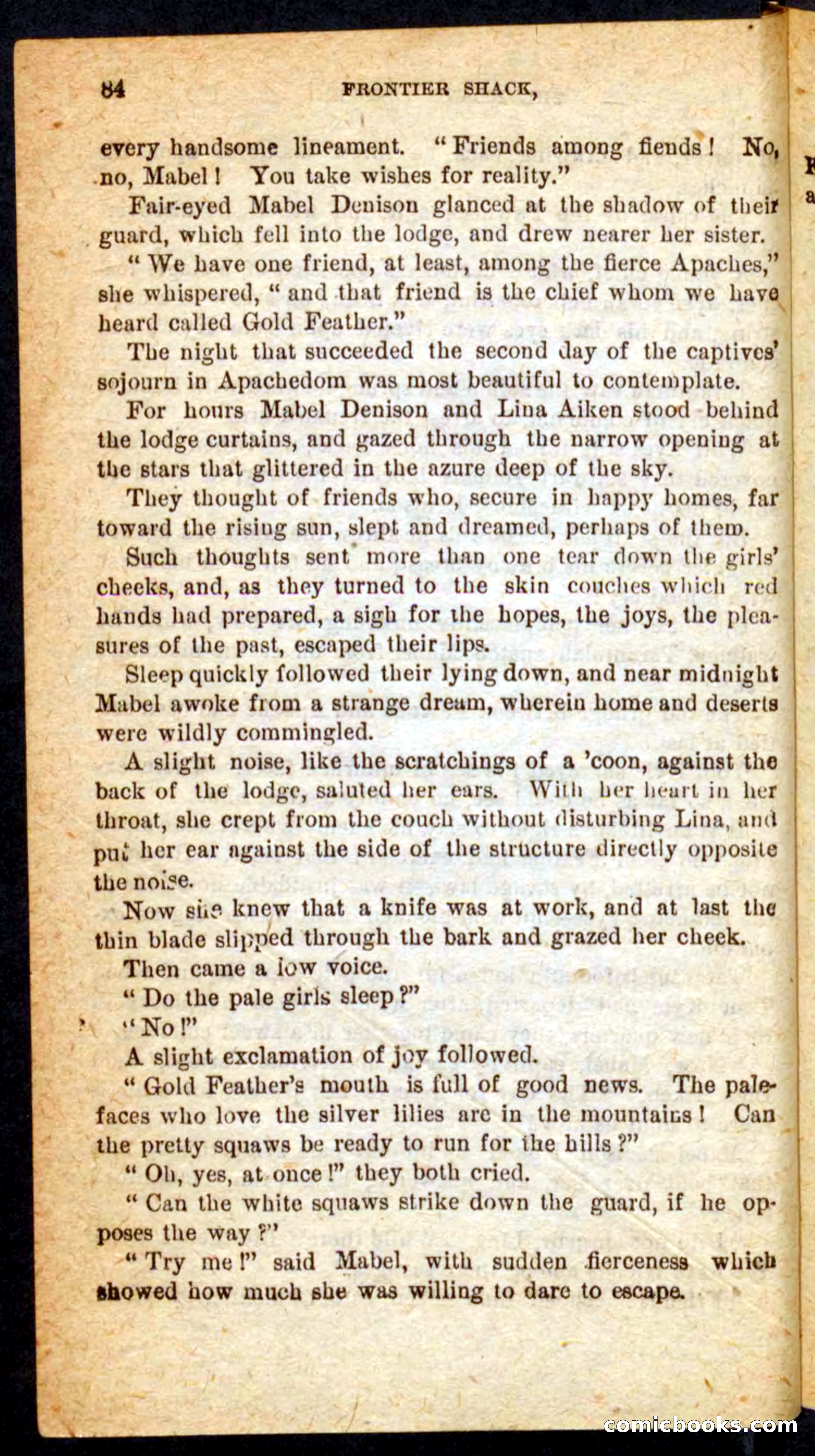 Beadle's Pocket Novels No. 64: The Island Trapper — page 80 of 100