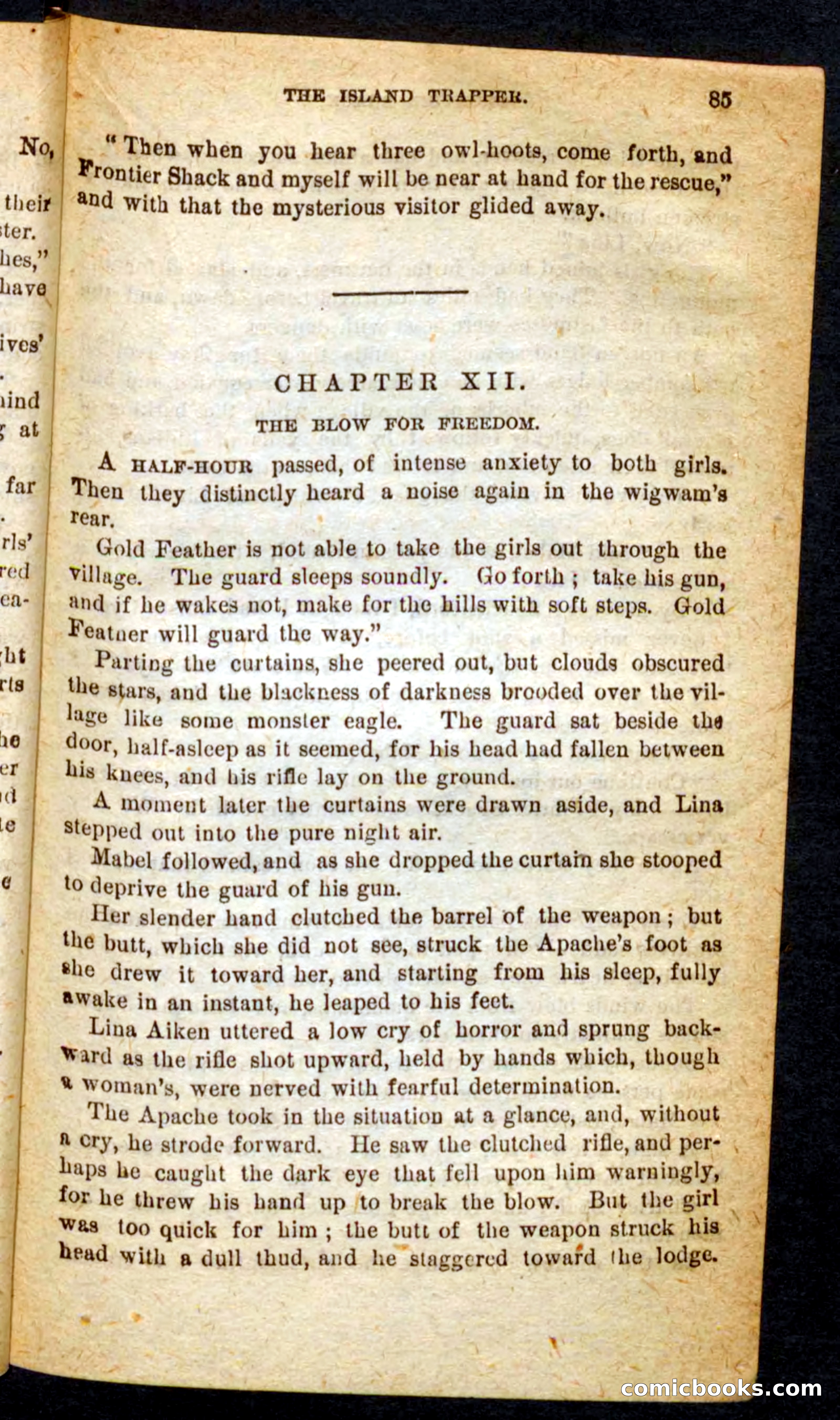 Beadle's Pocket Novels No. 64: The Island Trapper — page 81 of 100