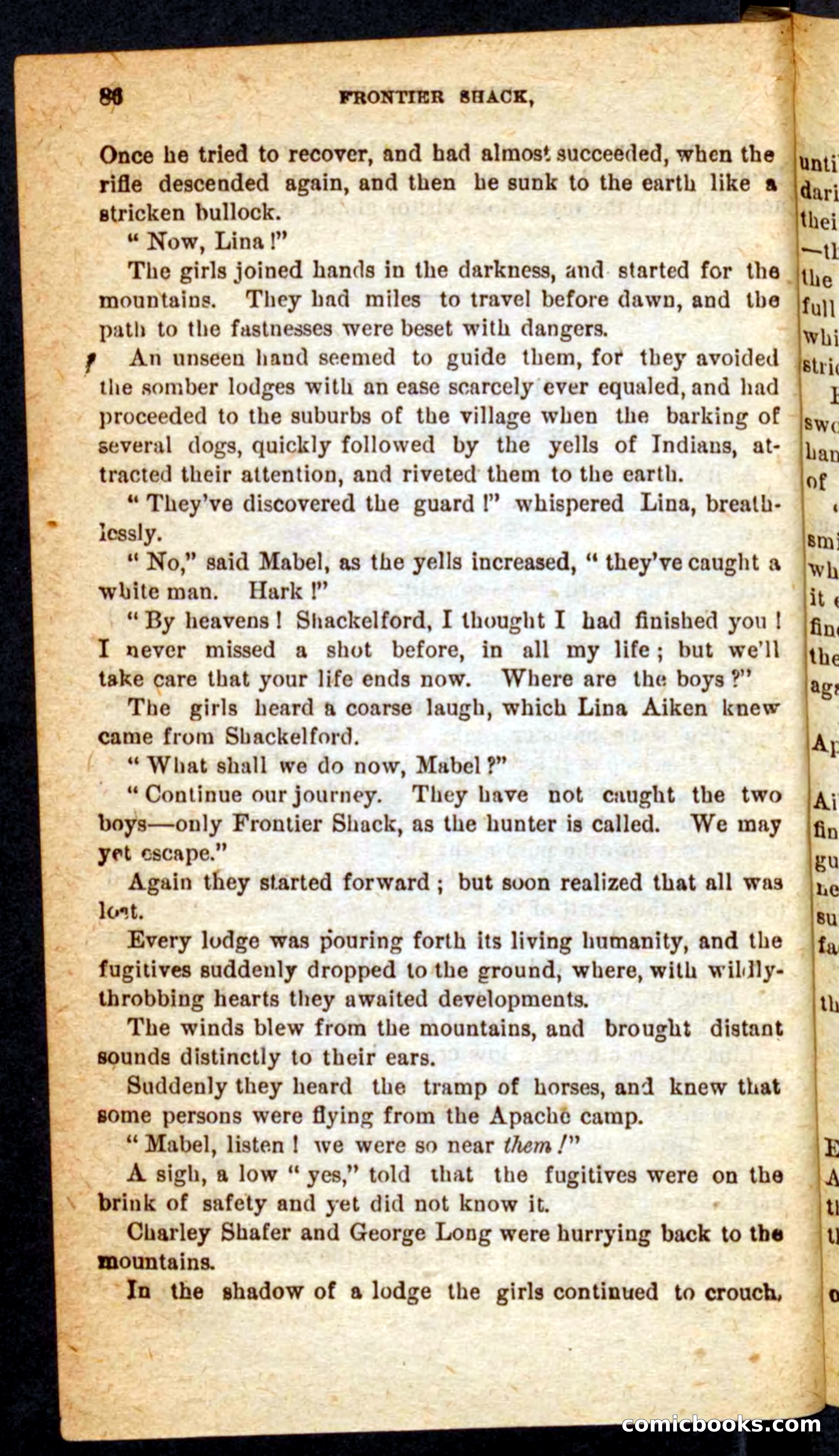 Beadle's Pocket Novels No. 64: The Island Trapper — page 82 of 100