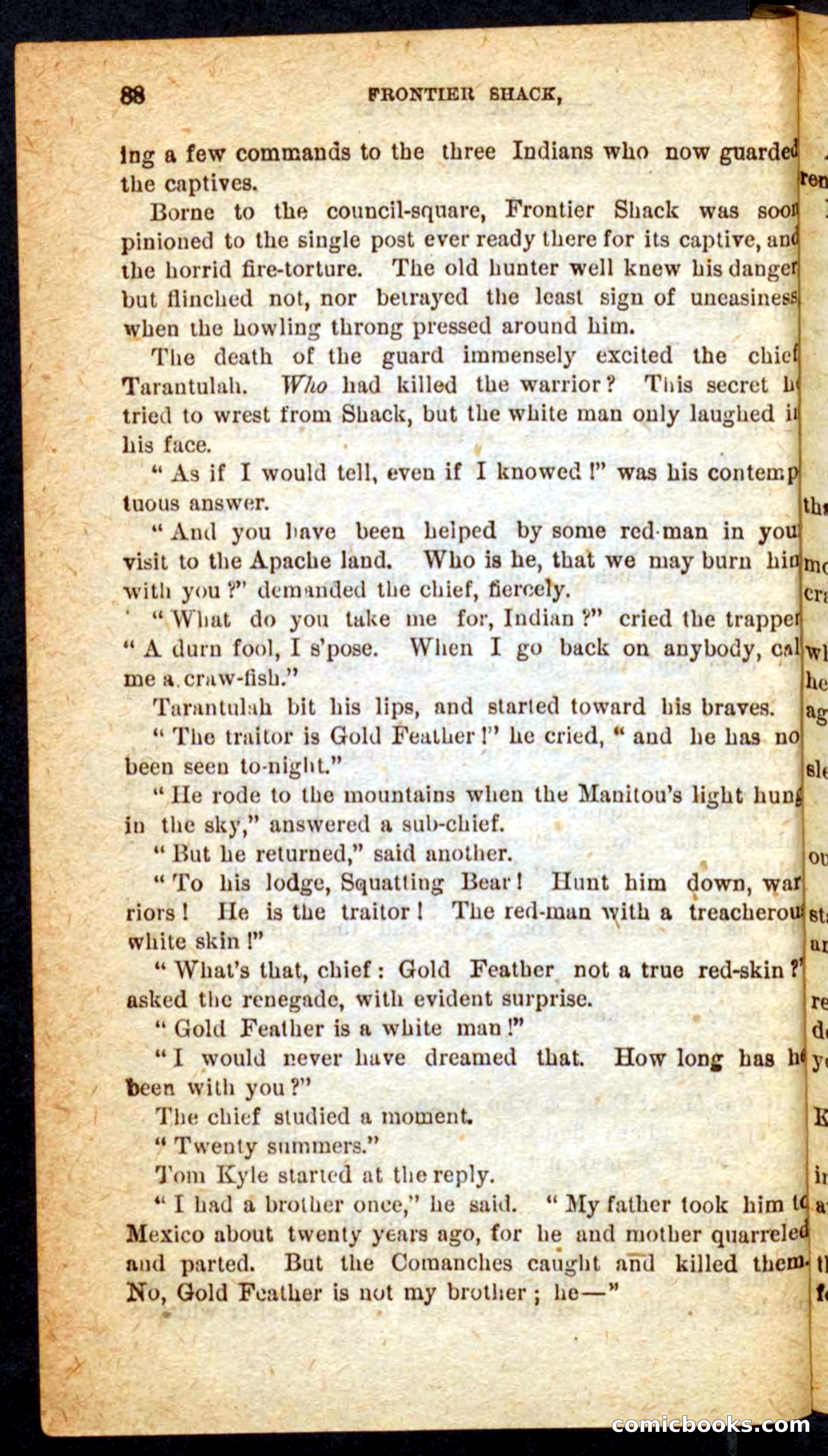 Beadle's Pocket Novels No. 64: The Island Trapper — page 84 of 100