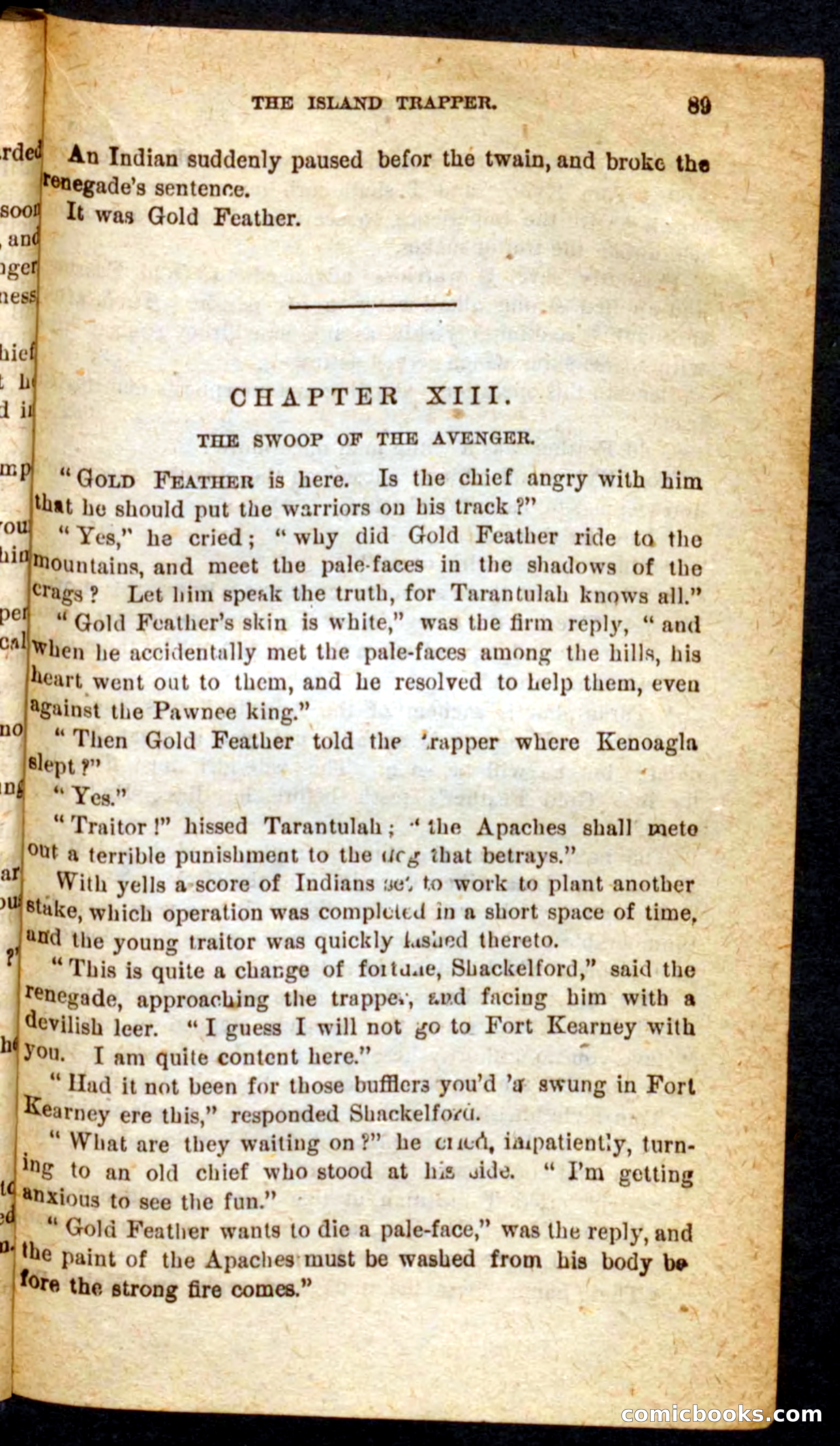 Beadle's Pocket Novels No. 64: The Island Trapper — page 85 of 100