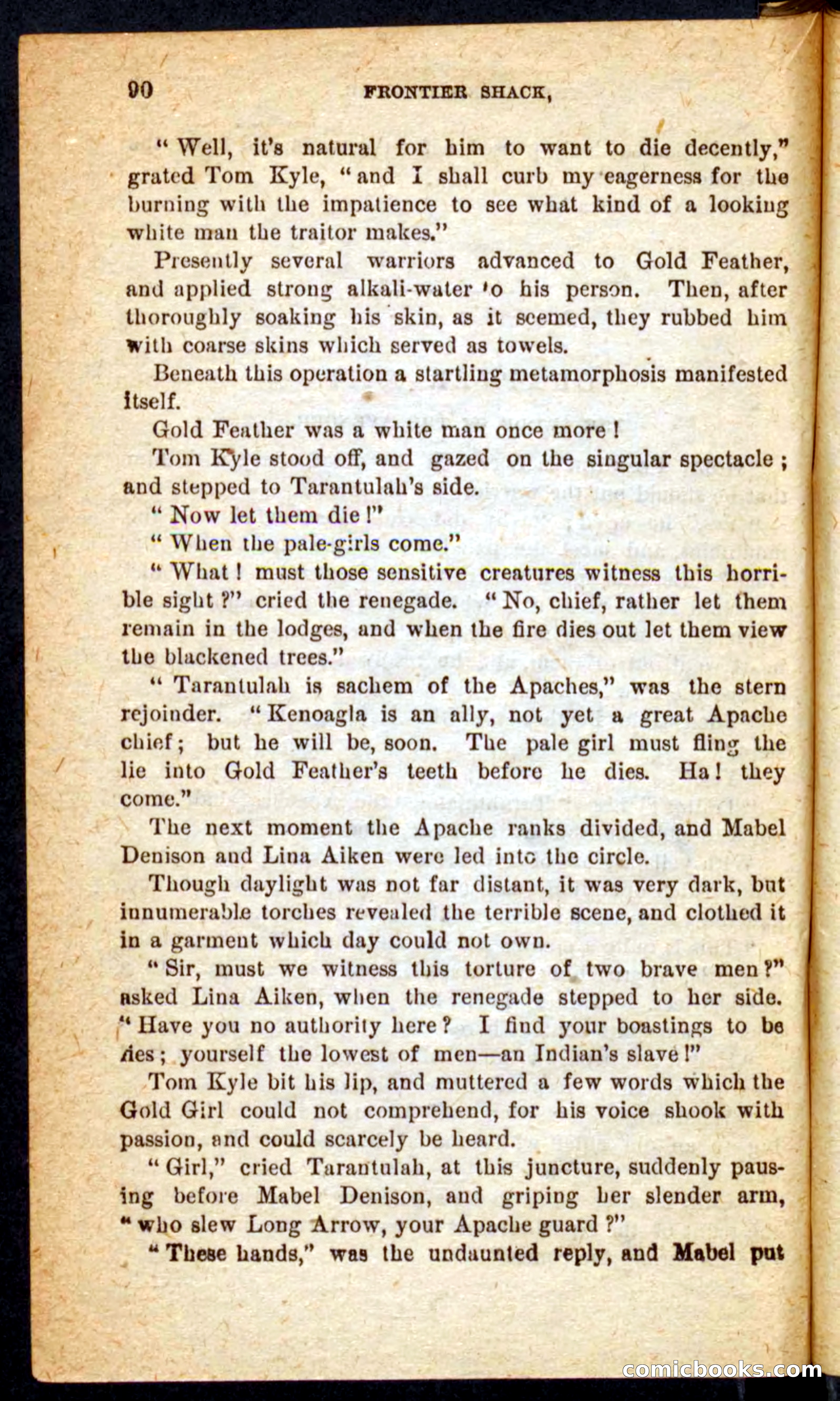 Beadle's Pocket Novels No. 64: The Island Trapper — page 86 of 100