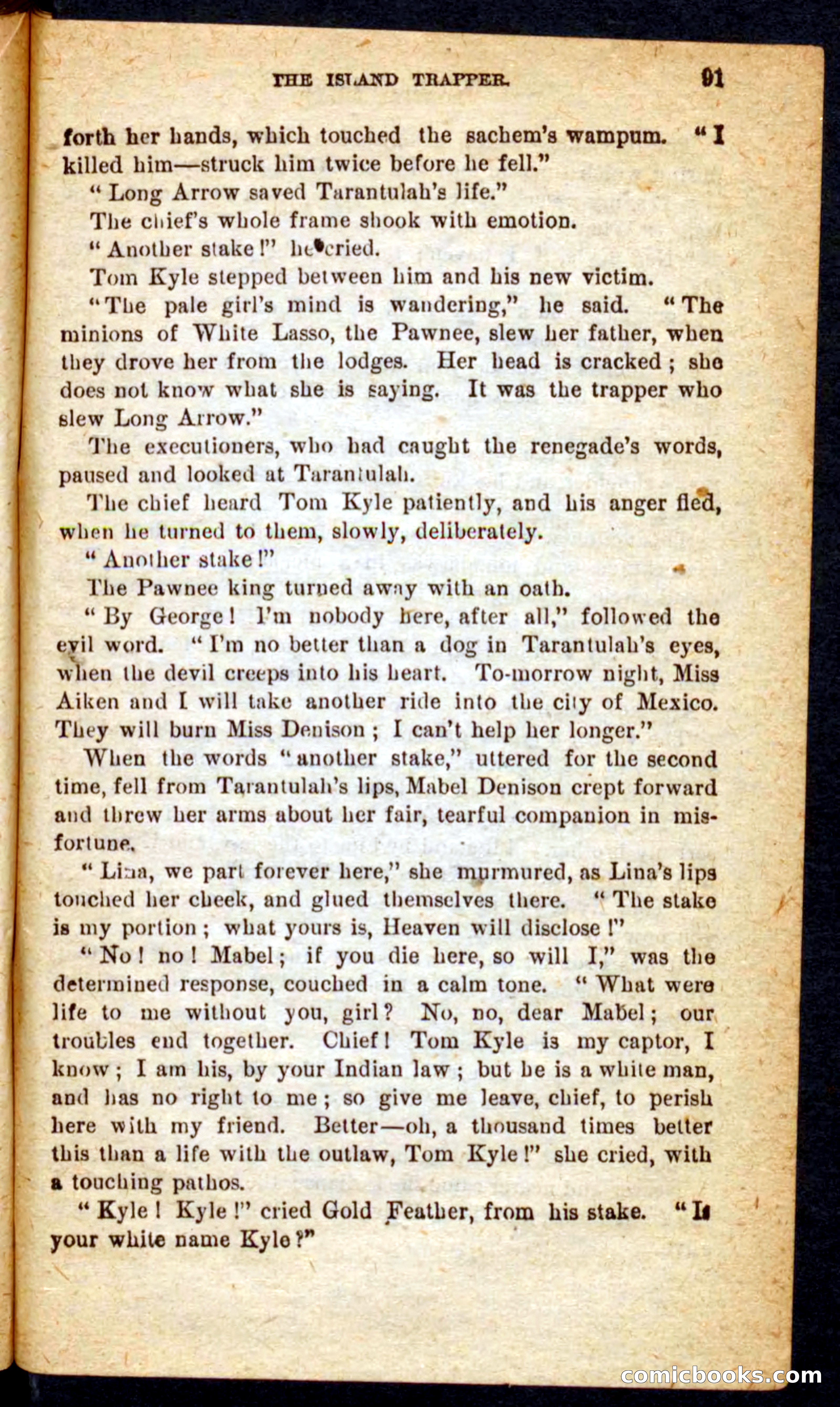 Beadle's Pocket Novels No. 64: The Island Trapper — page 87 of 100