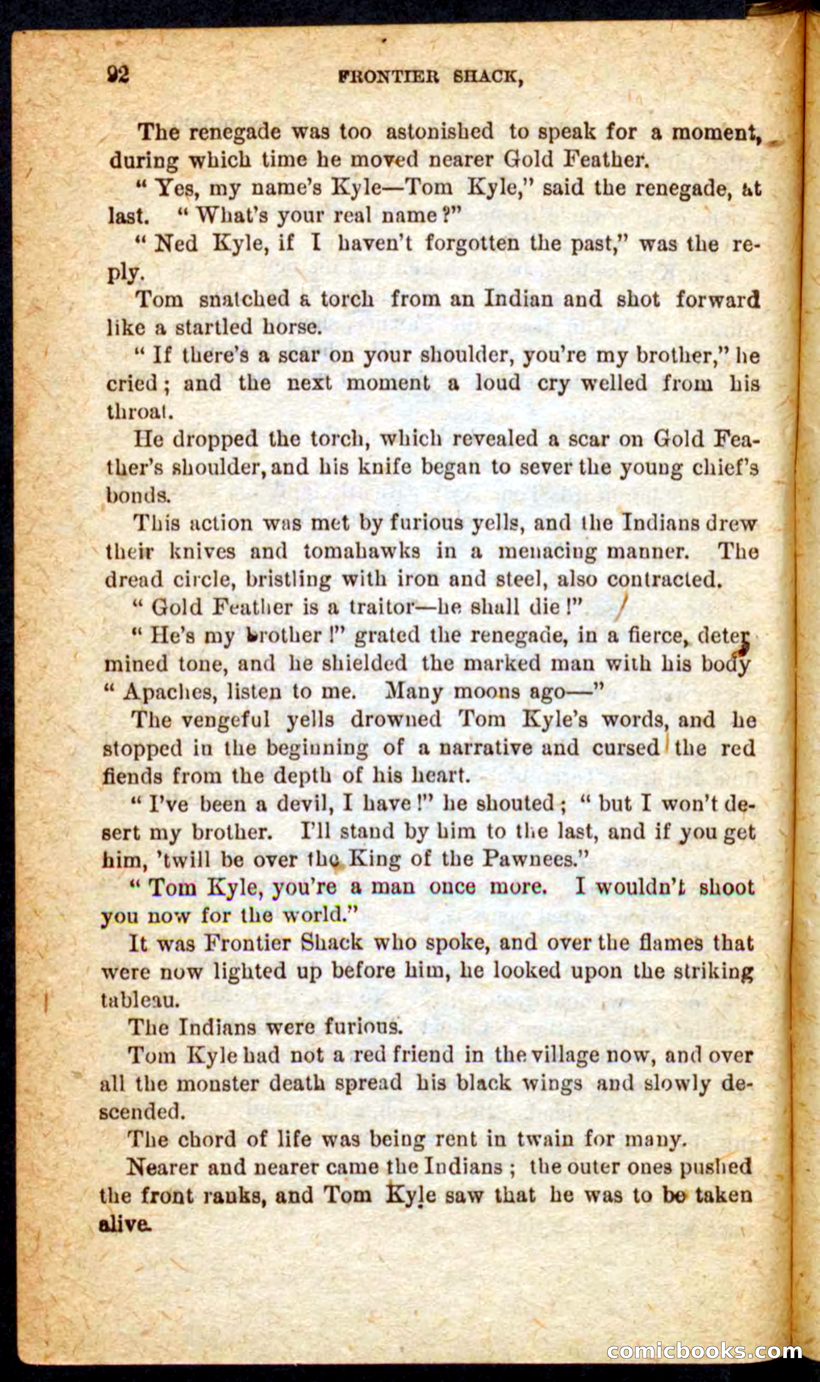 Beadle's Pocket Novels No. 64: The Island Trapper — page 88 of 100