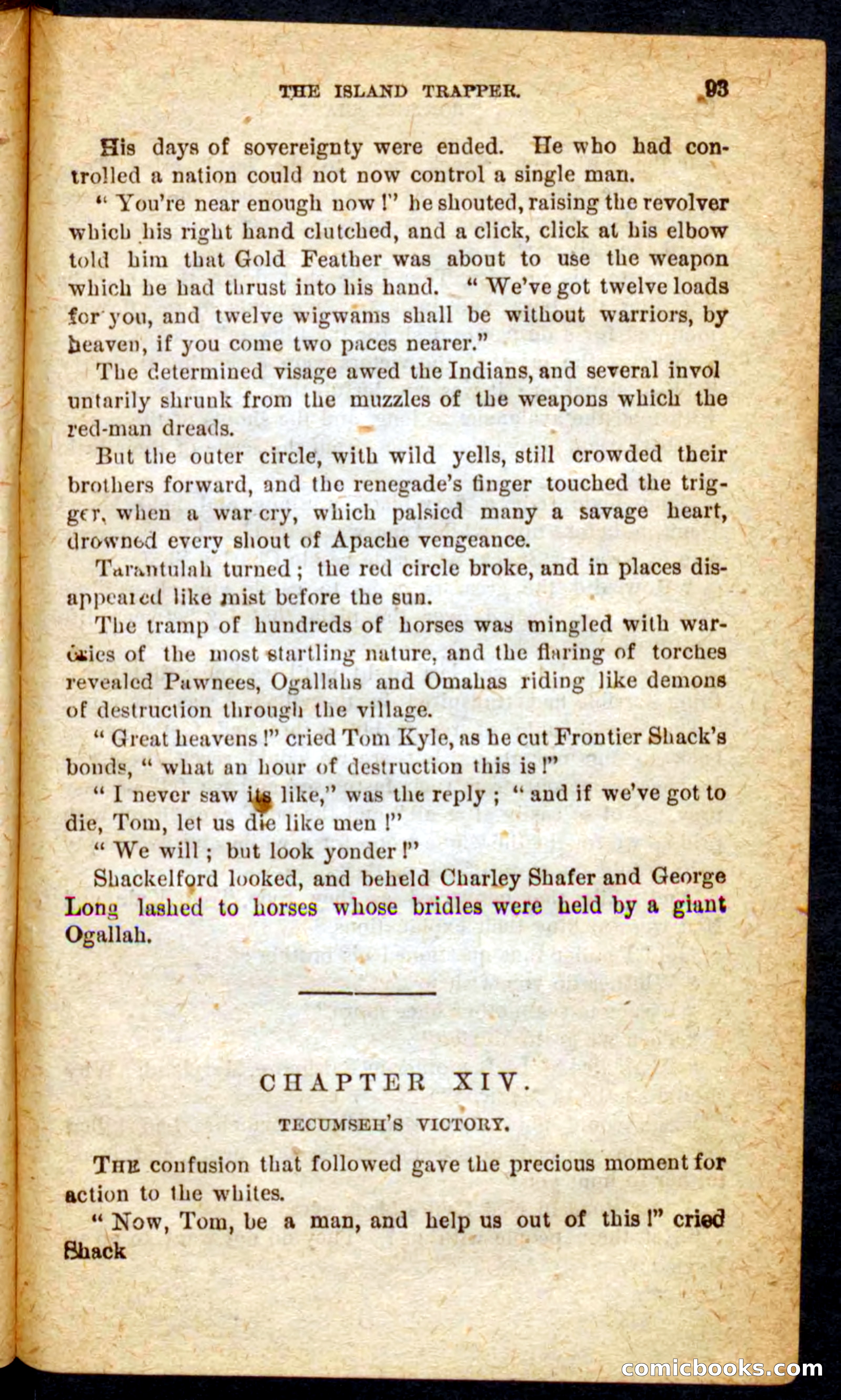 Beadle's Pocket Novels No. 64: The Island Trapper — page 89 of 100