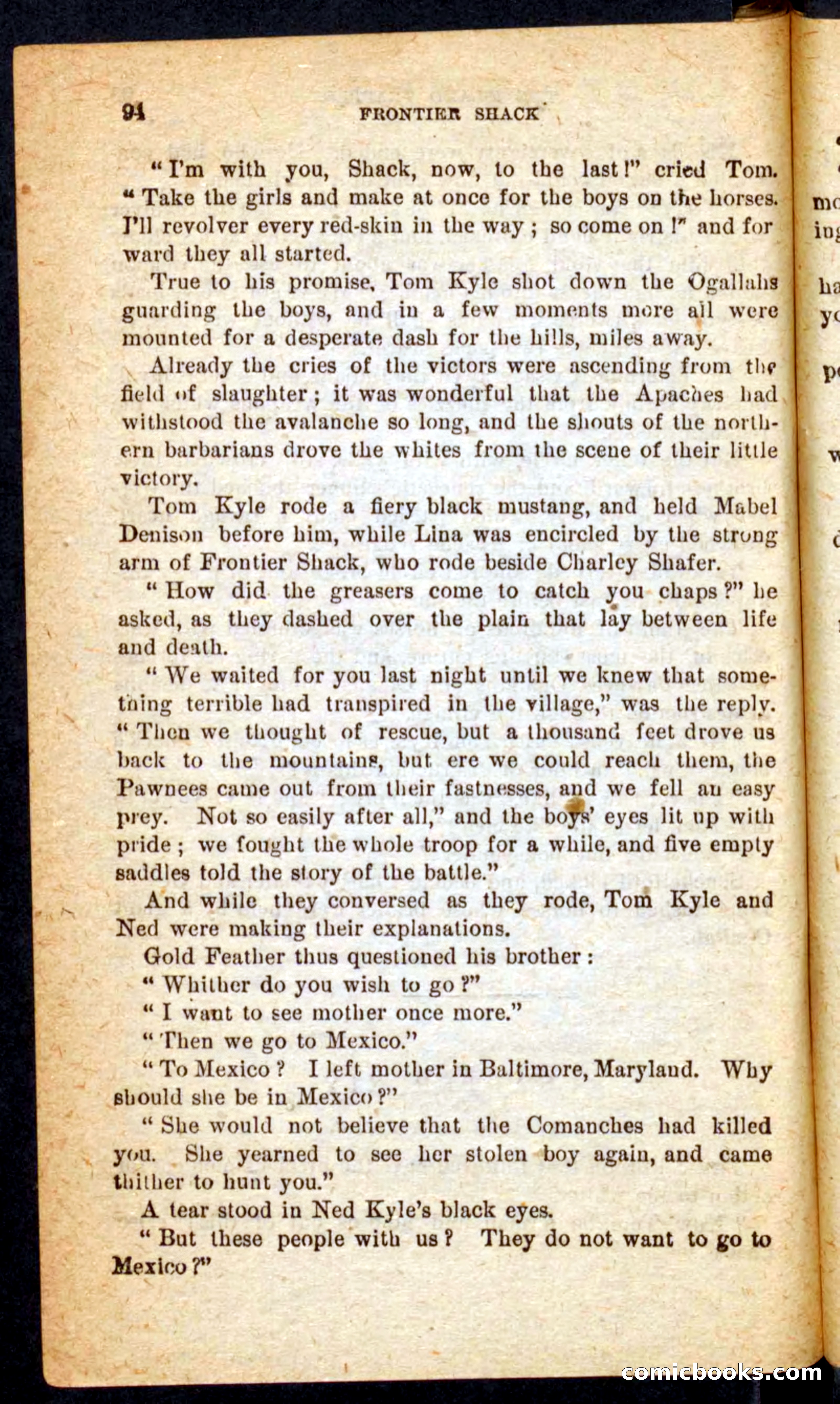Beadle's Pocket Novels No. 64: The Island Trapper — page 90 of 100