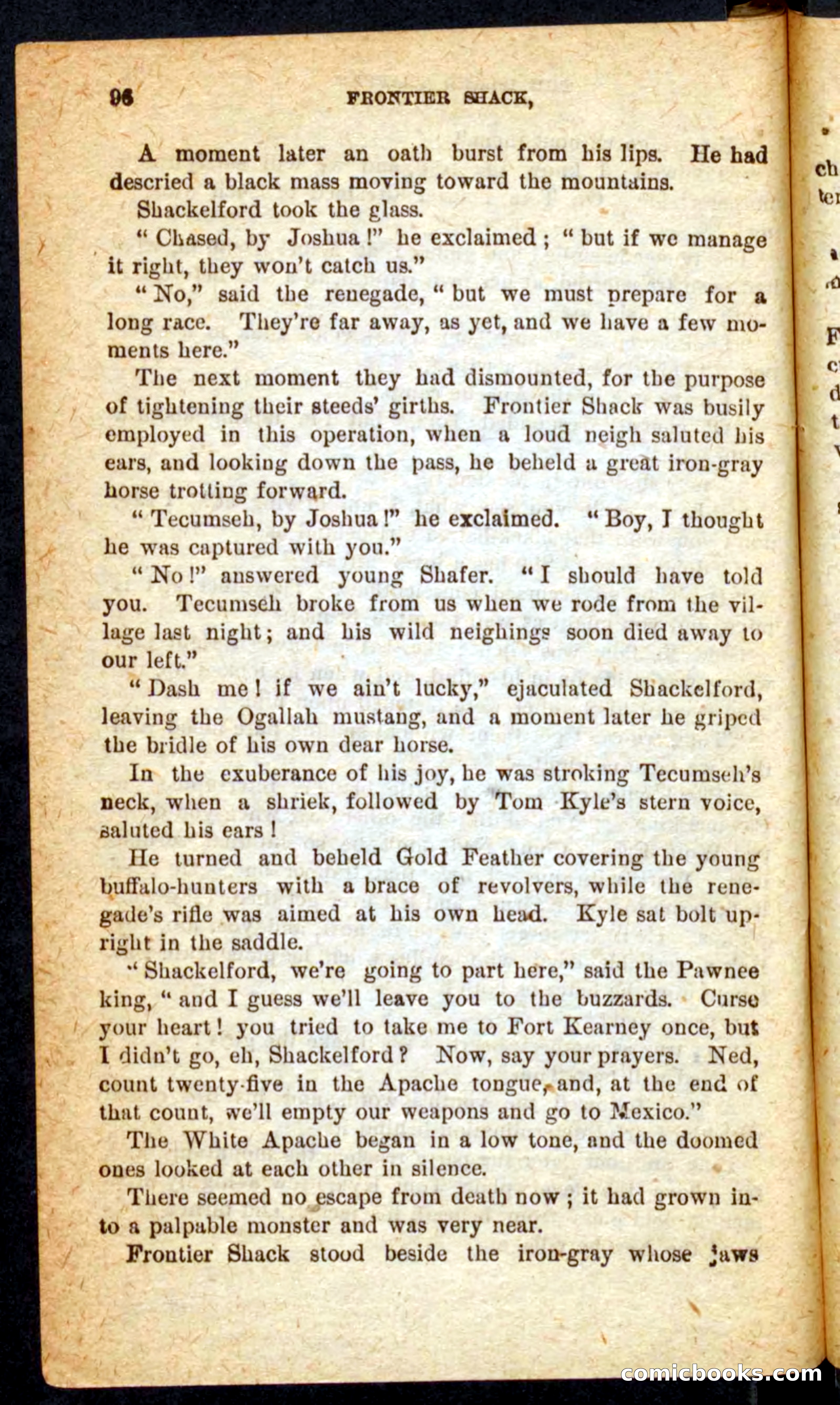 Beadle's Pocket Novels No. 64: The Island Trapper — page 92 of 100