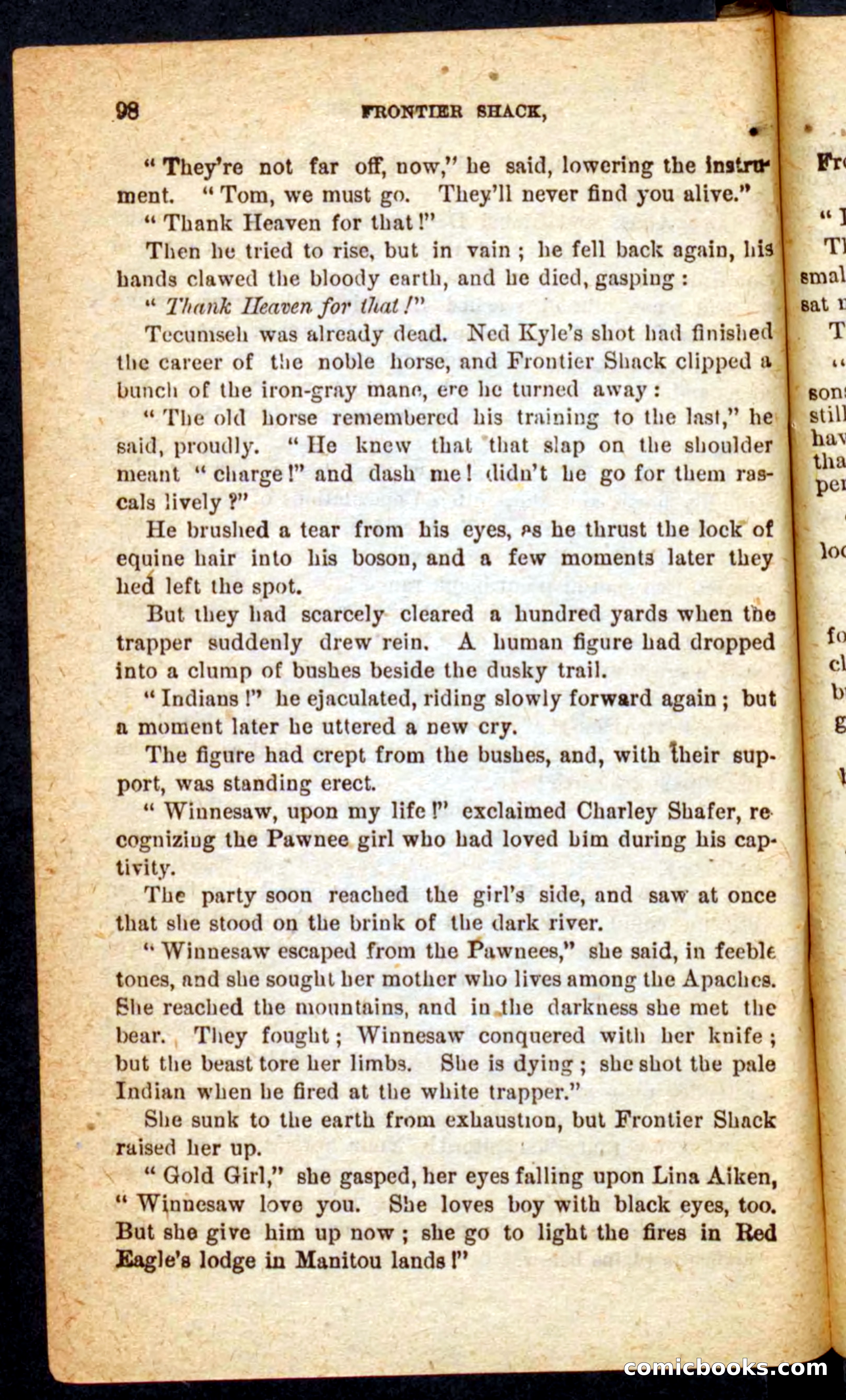 Beadle's Pocket Novels No. 64: The Island Trapper — page 94 of 100
