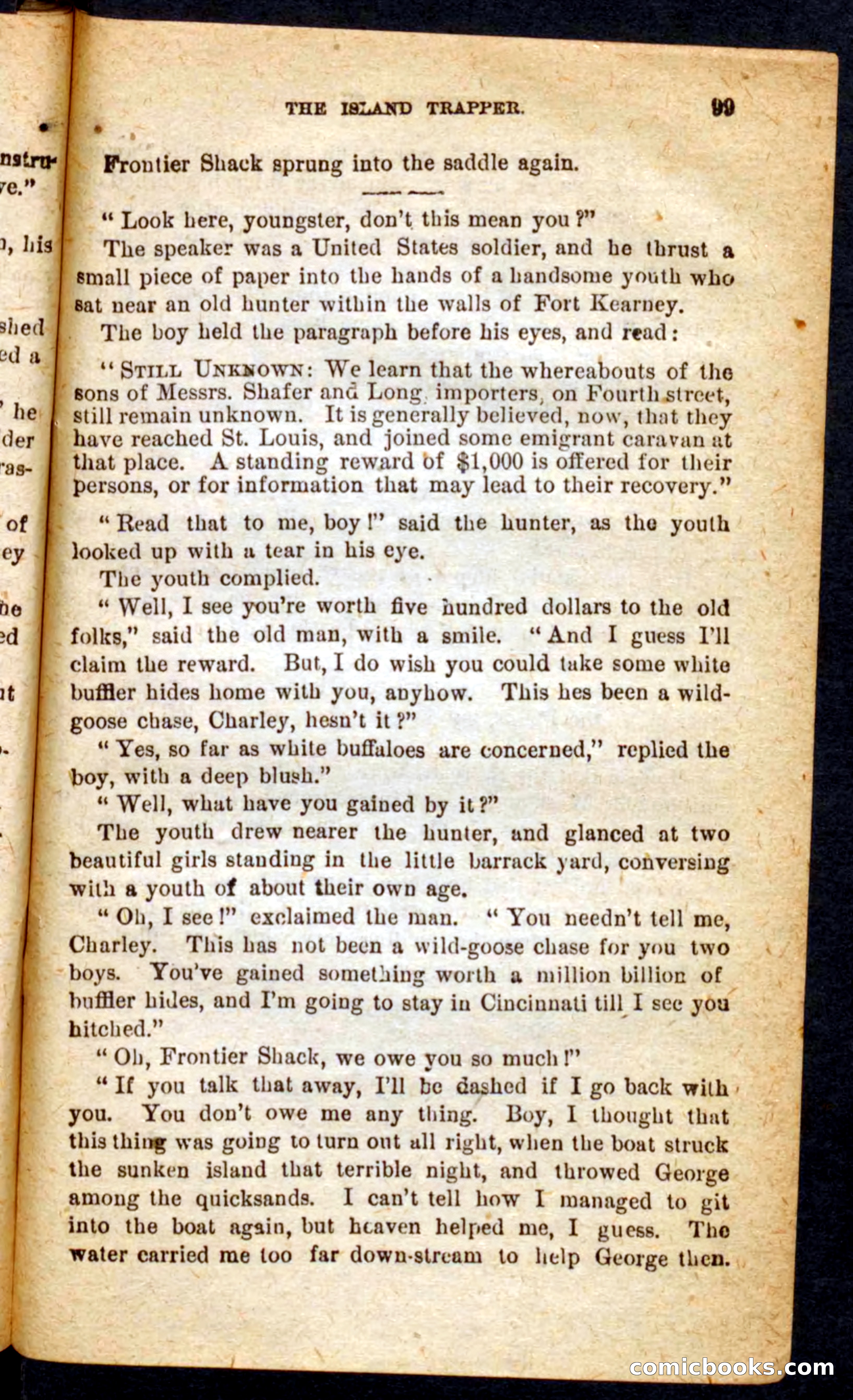 Beadle's Pocket Novels No. 64: The Island Trapper — page 95 of 100