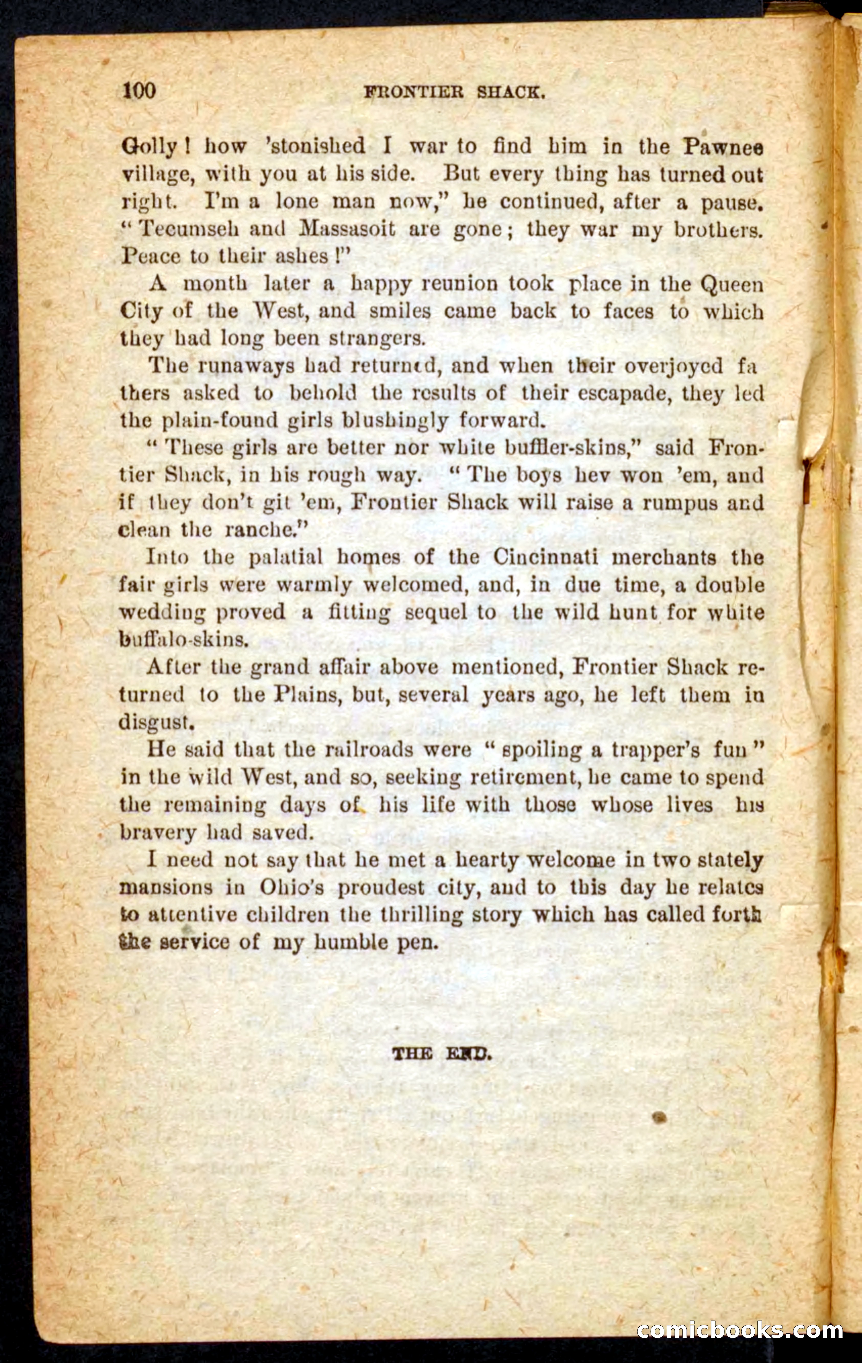 Beadle's Pocket Novels No. 64: The Island Trapper — page 96 of 100