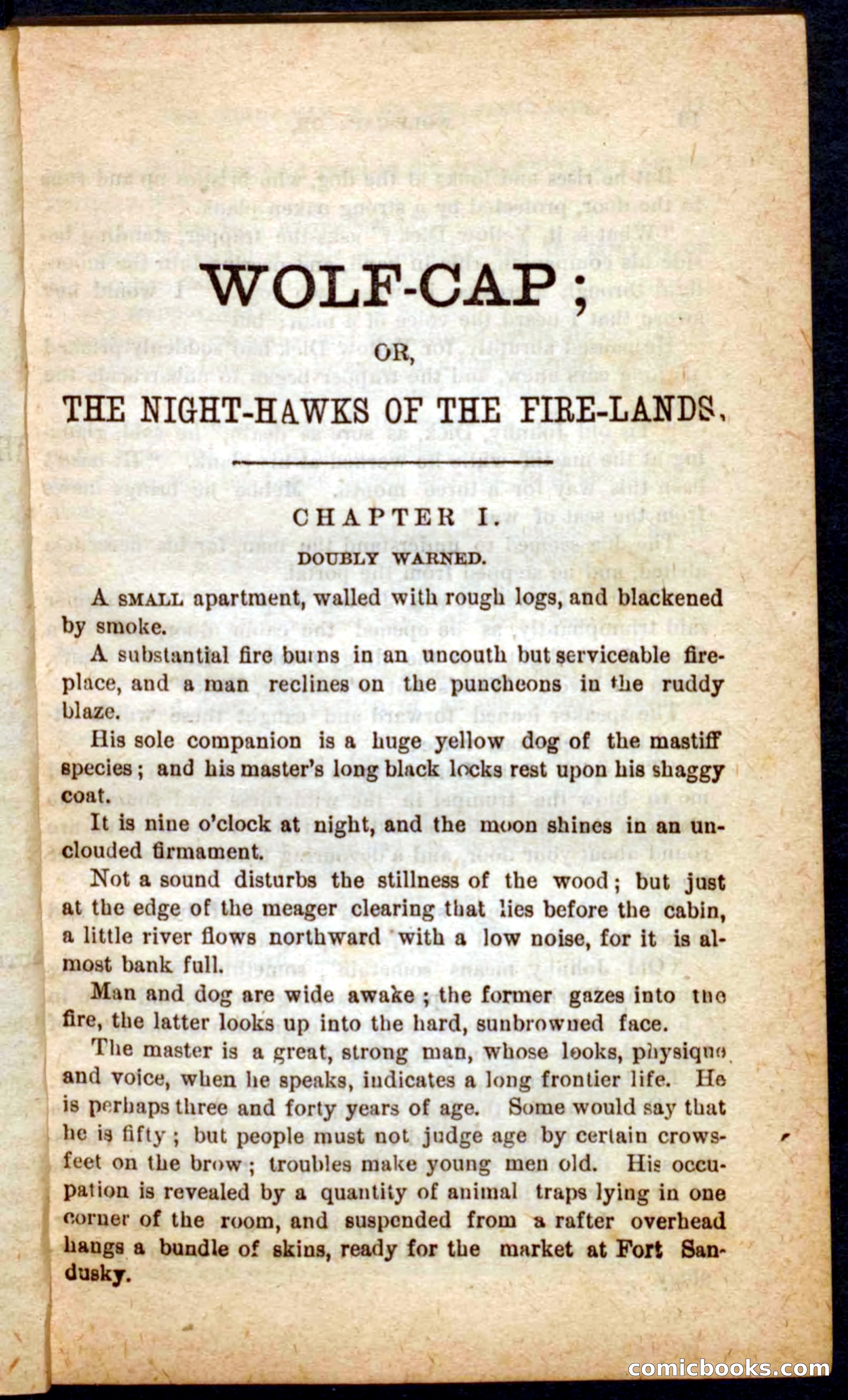 Beadle's Pocket Novels No. 65: Wolf-Cap — page 5 of 100