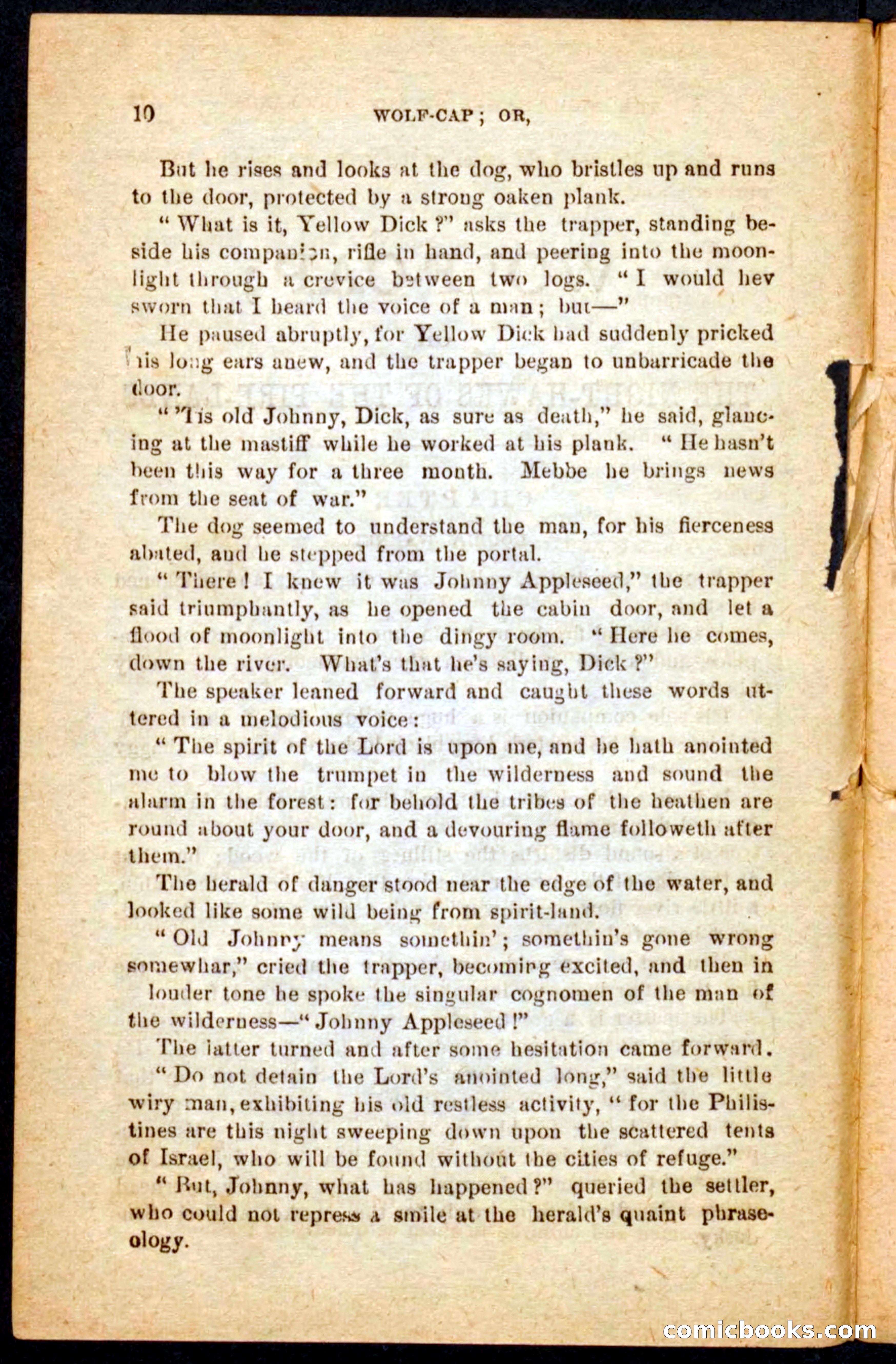 Beadle's Pocket Novels No. 65: Wolf-Cap — page 6 of 100