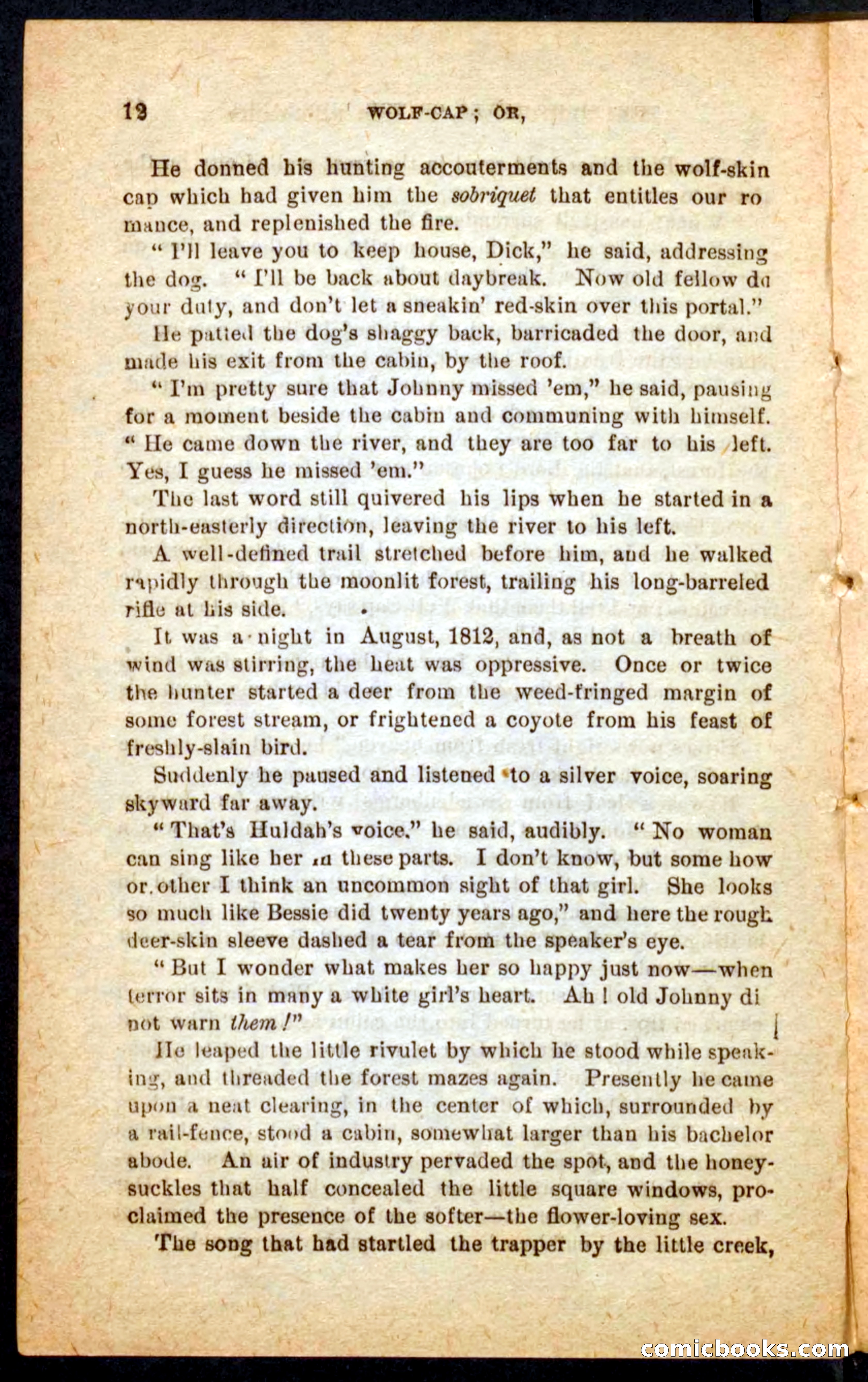 Beadle's Pocket Novels No. 65: Wolf-Cap — page 8 of 100