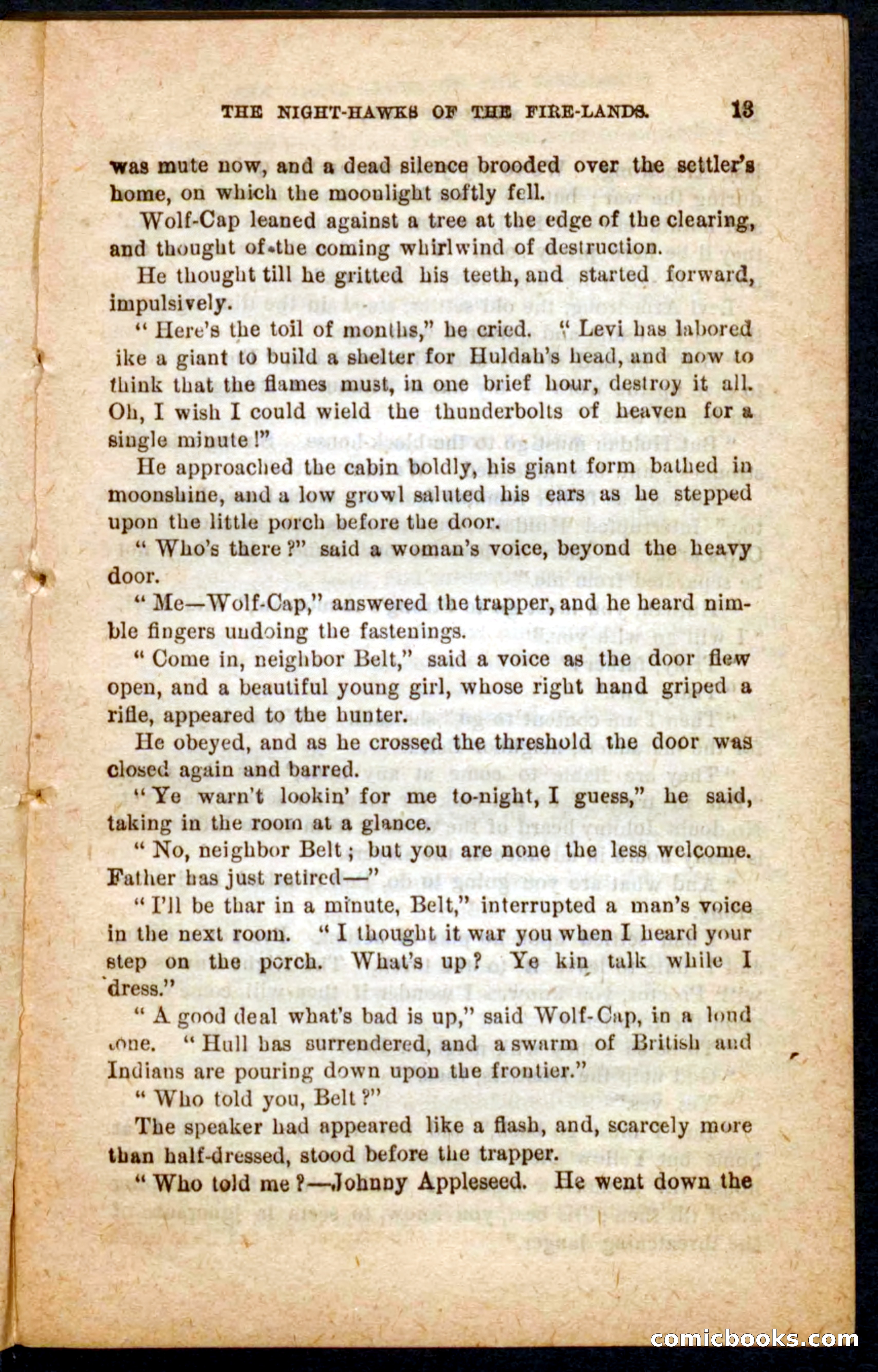 Beadle's Pocket Novels No. 65: Wolf-Cap — page 9 of 100