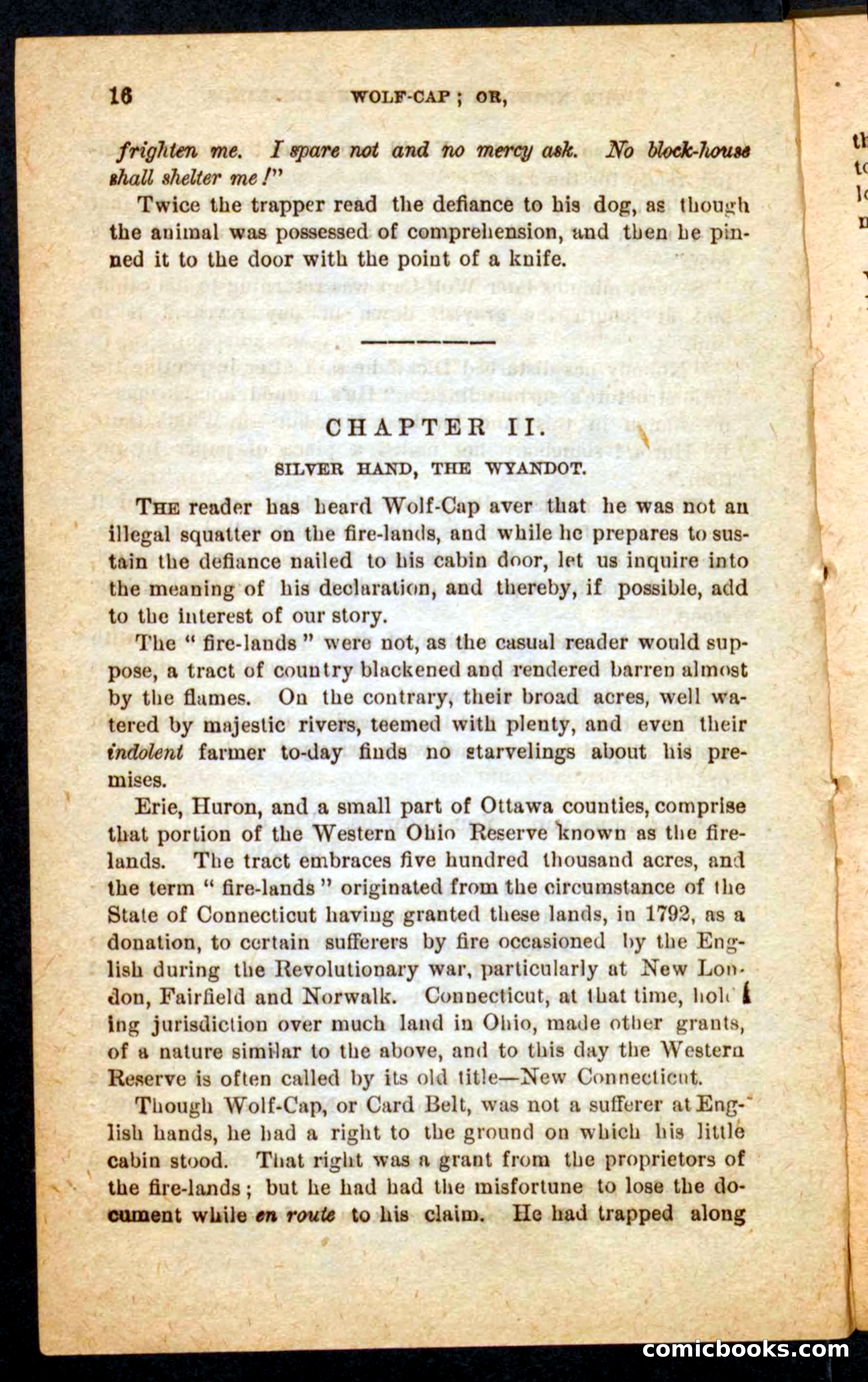Beadle's Pocket Novels No. 65: Wolf-Cap — page 12 of 100